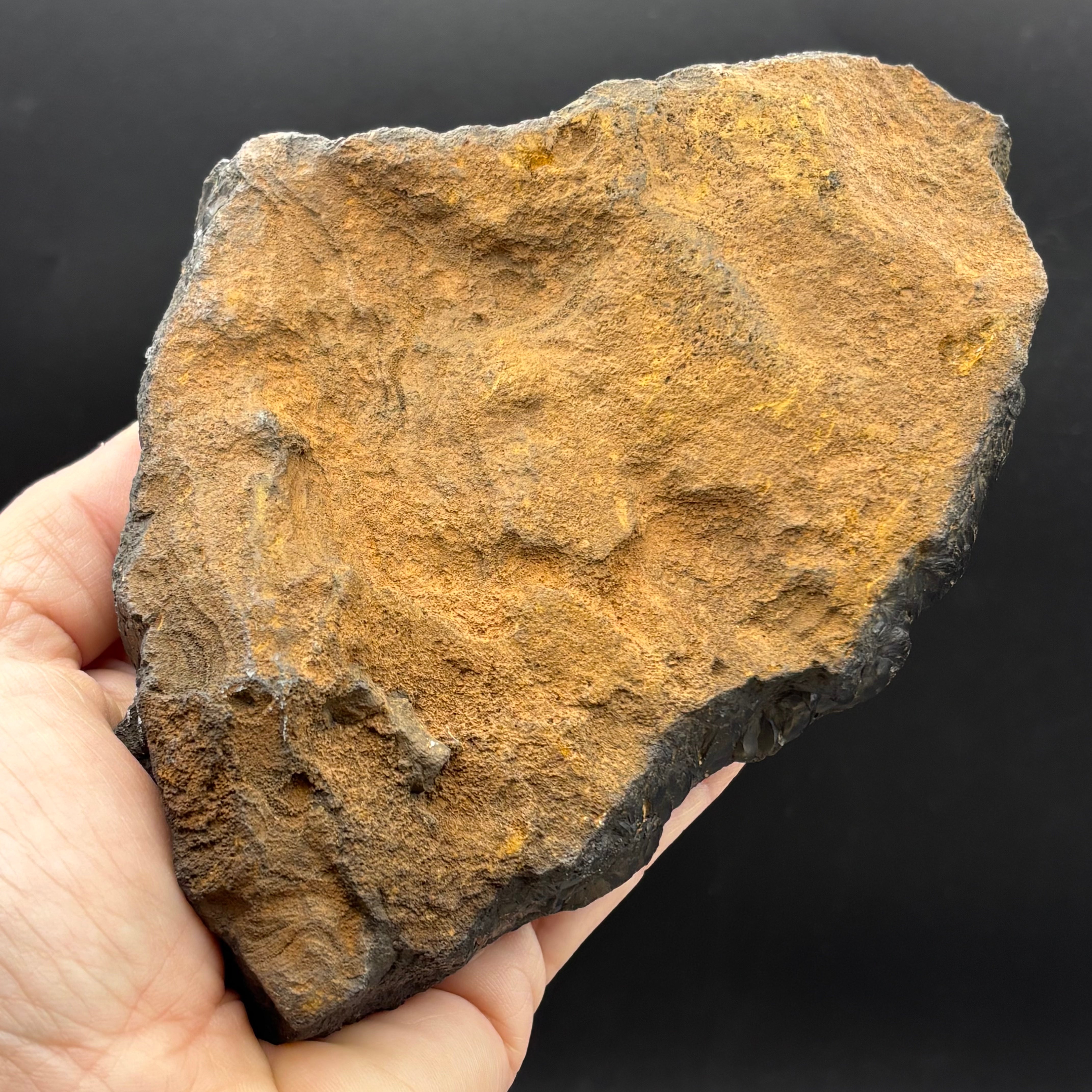 Golden Hematite - 069