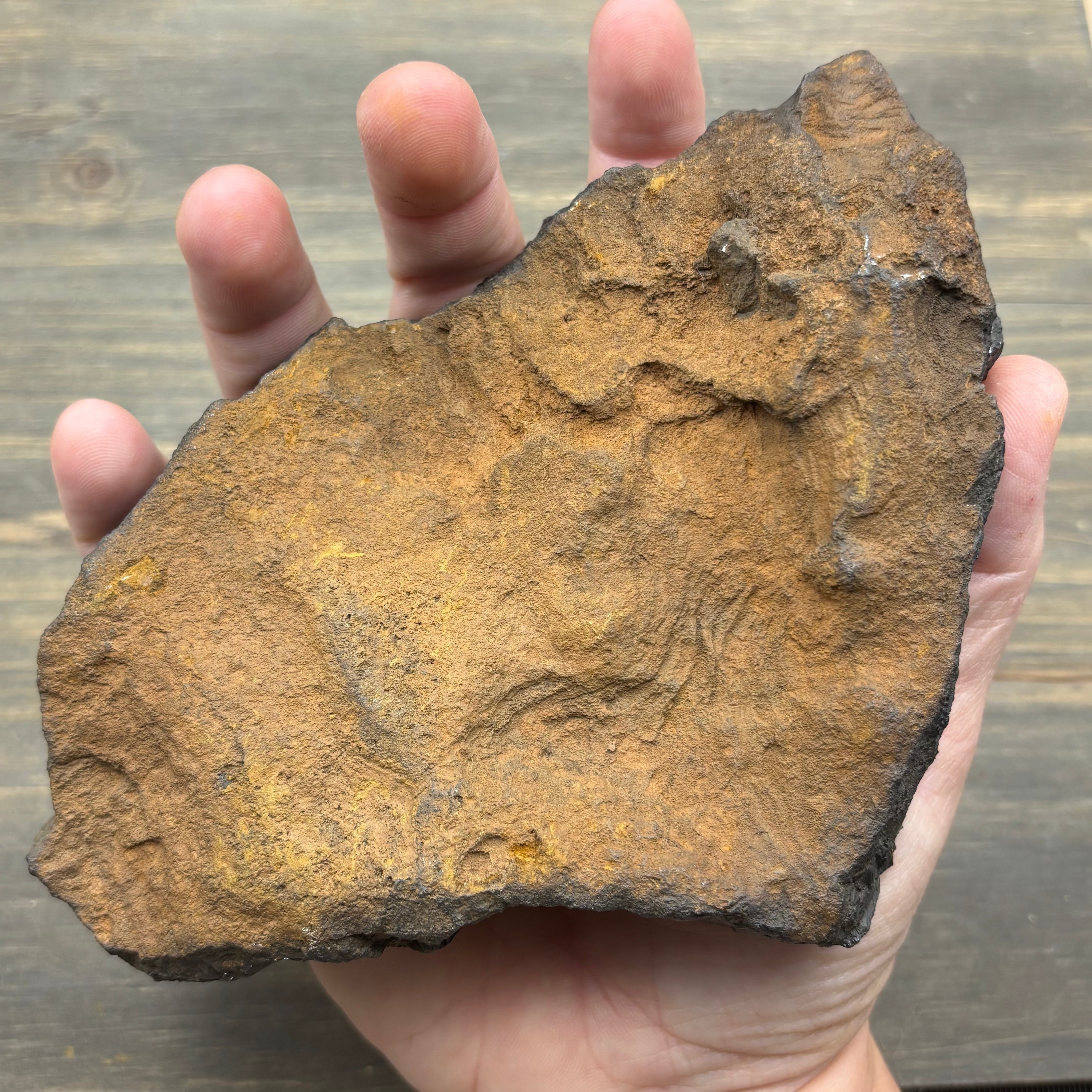 Golden Hematite - 069