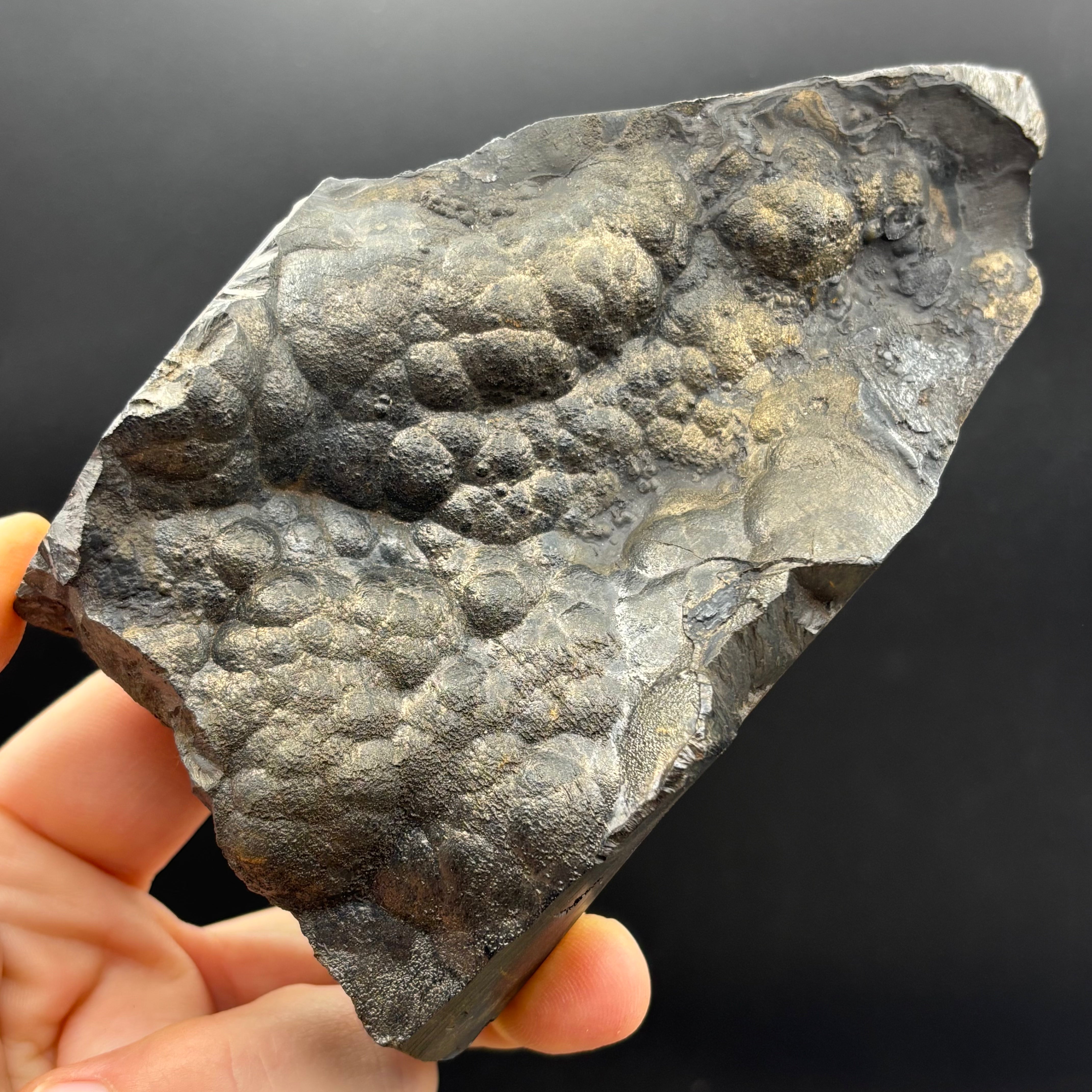 Golden Hematite - 078