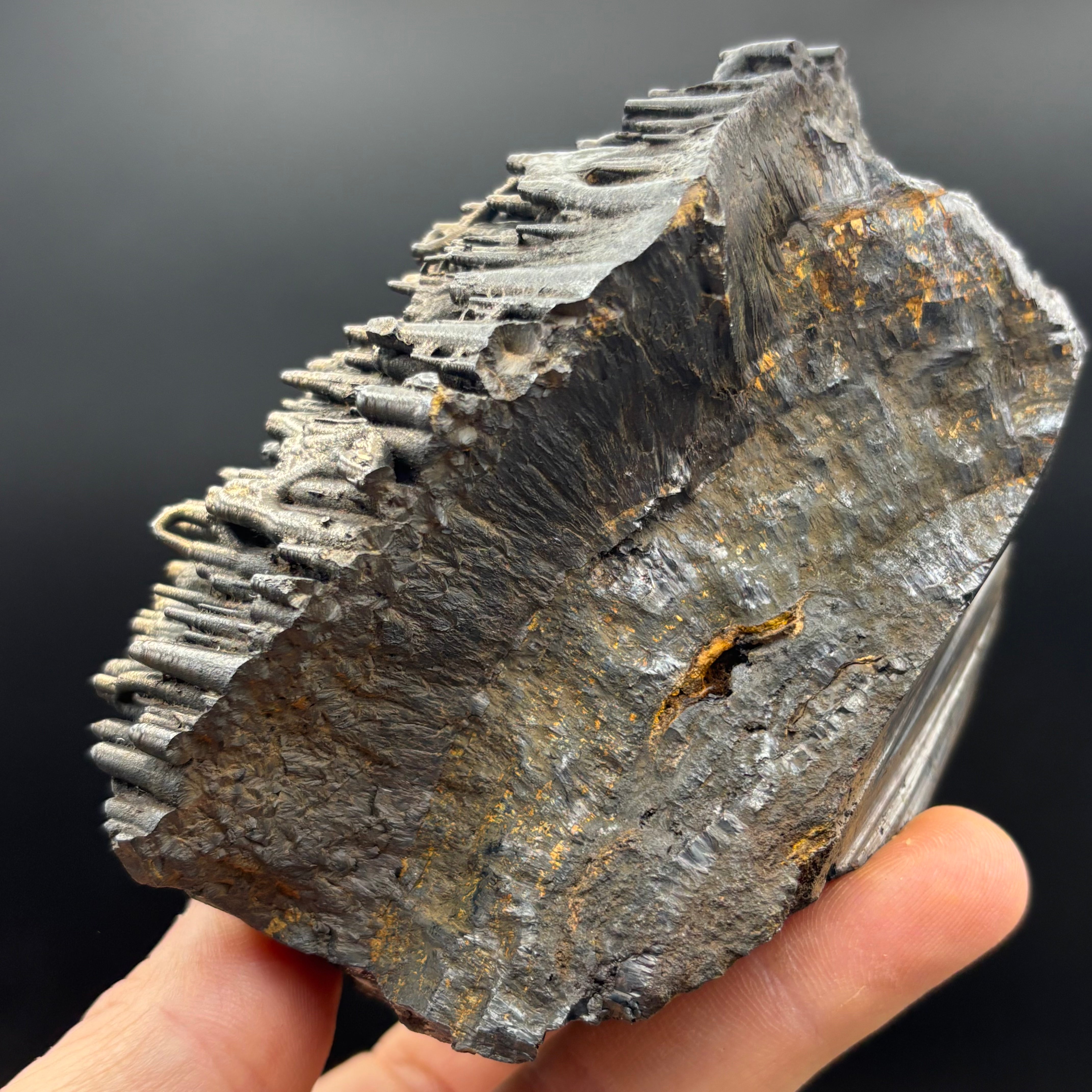 Golden Hematite - 082