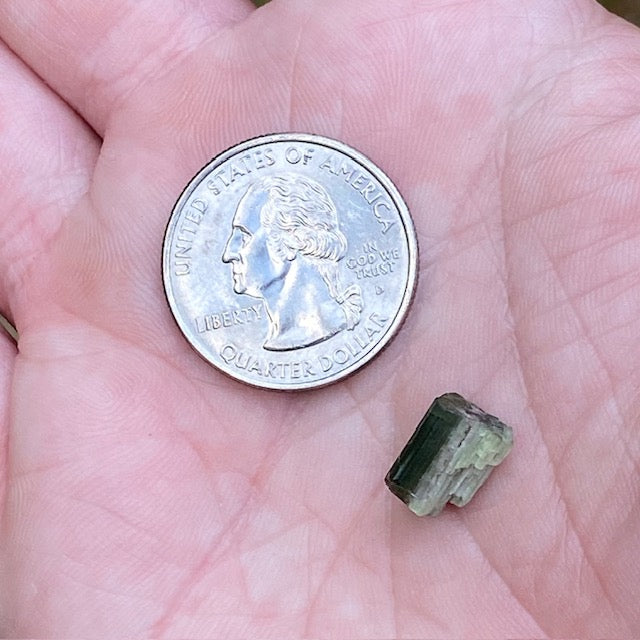 Watermelon Tourmaline - 006