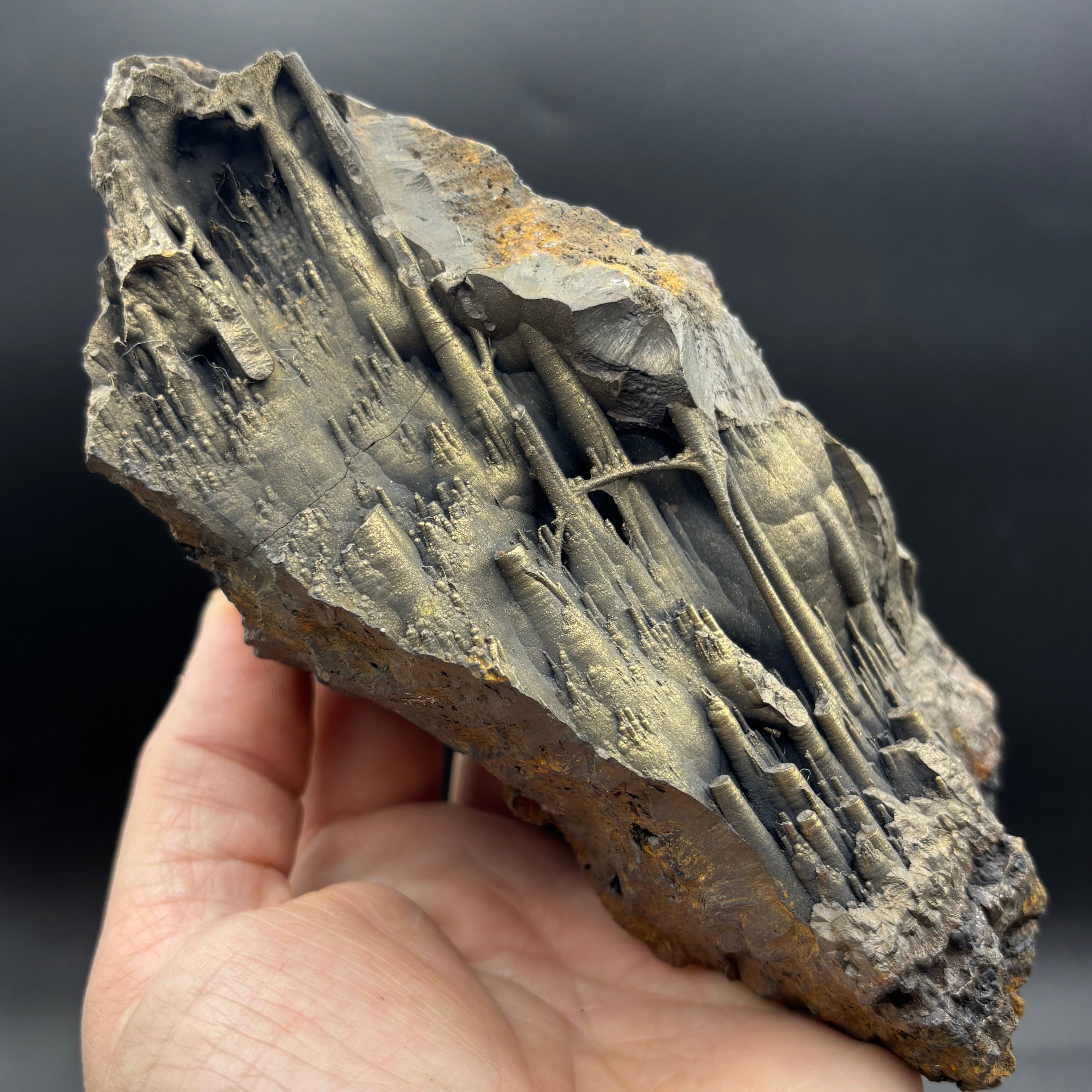 Golden Hematite - 084