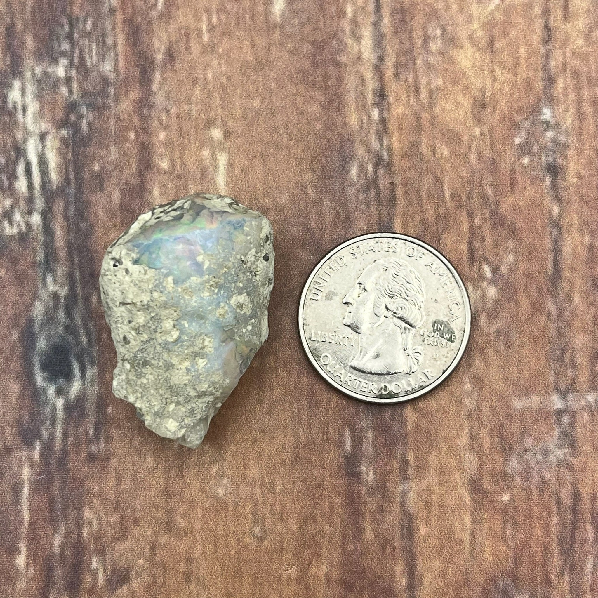 Welo Opal - 124