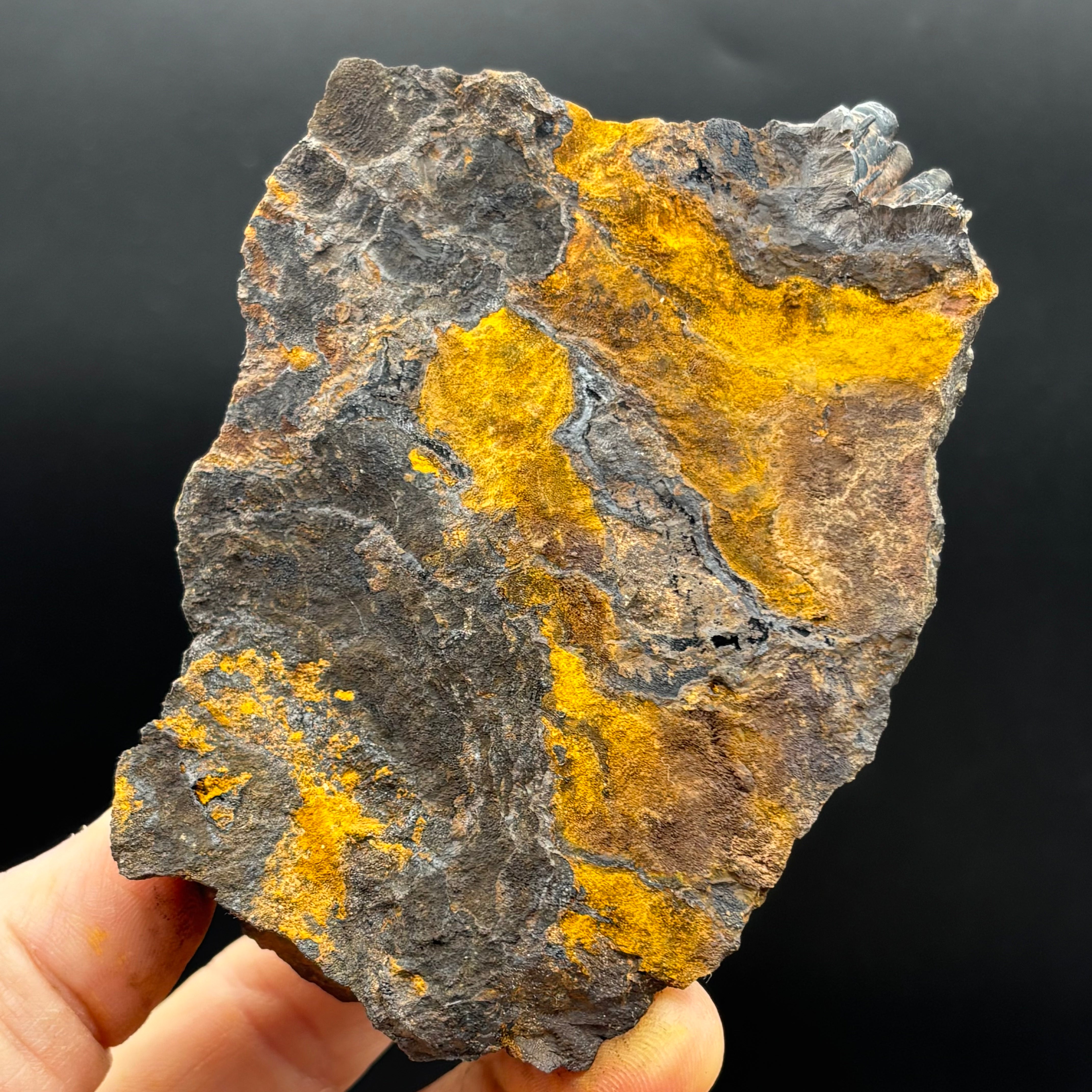 Golden Hematite - 090