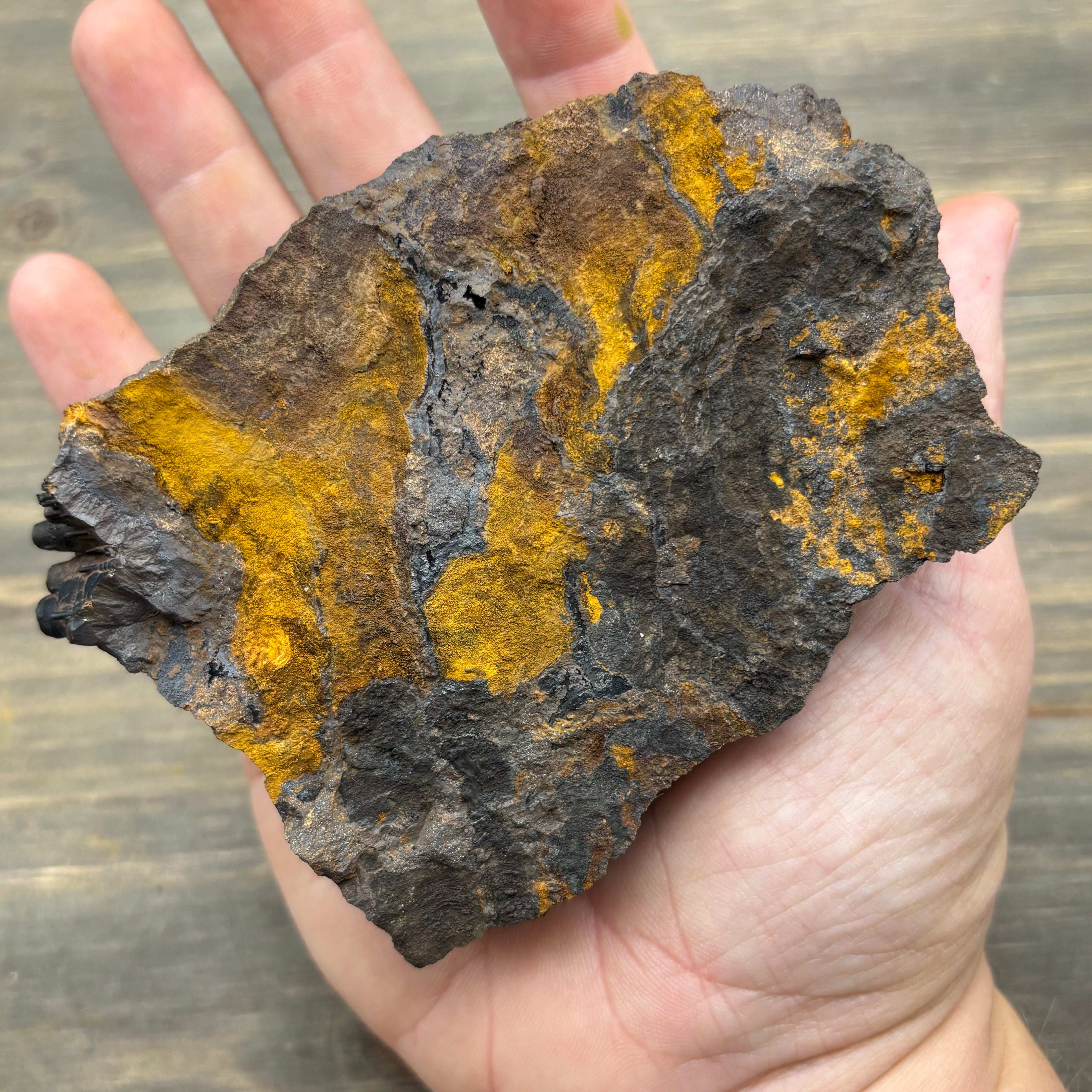 Golden Hematite - 090