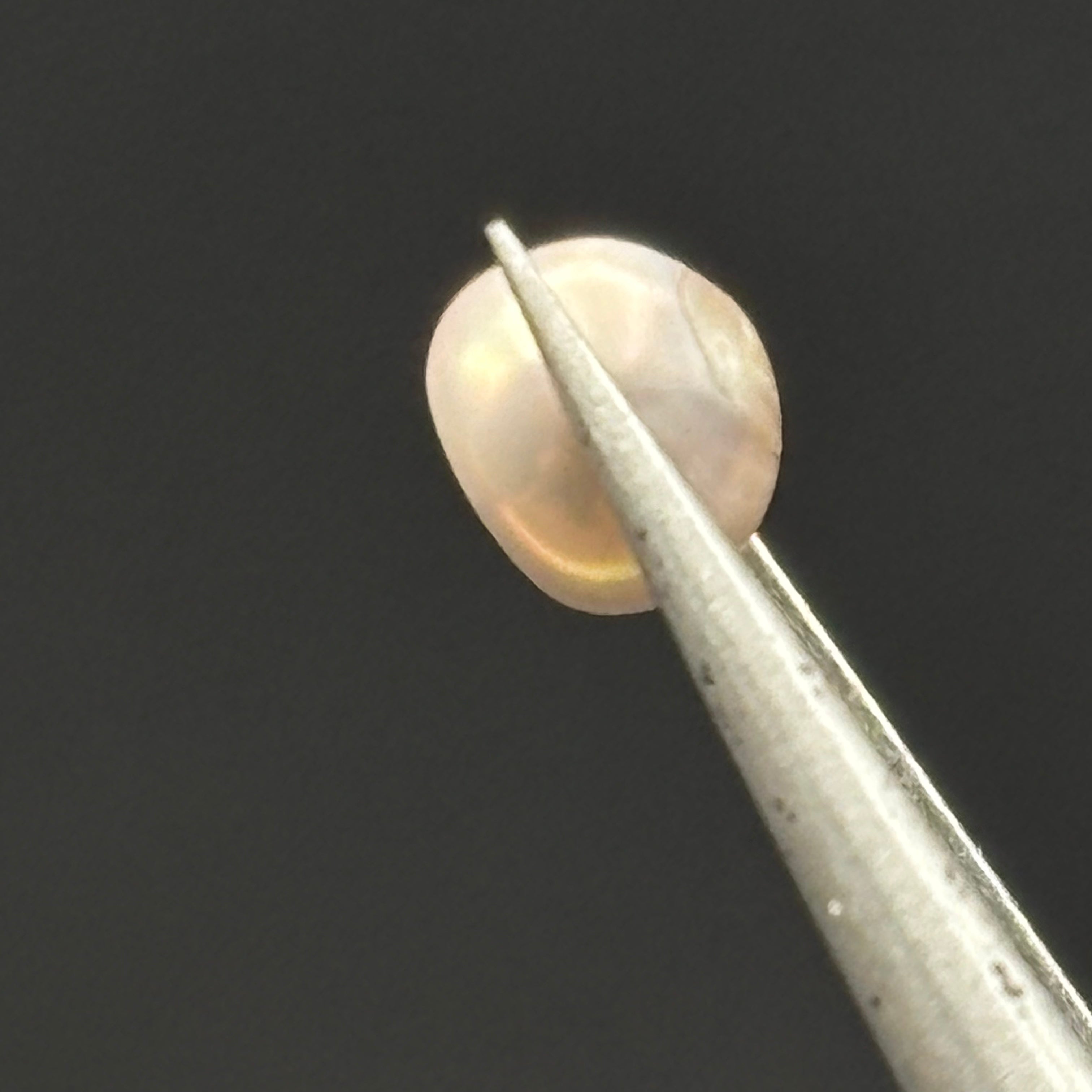 Wild Freshwater Pearl - 064