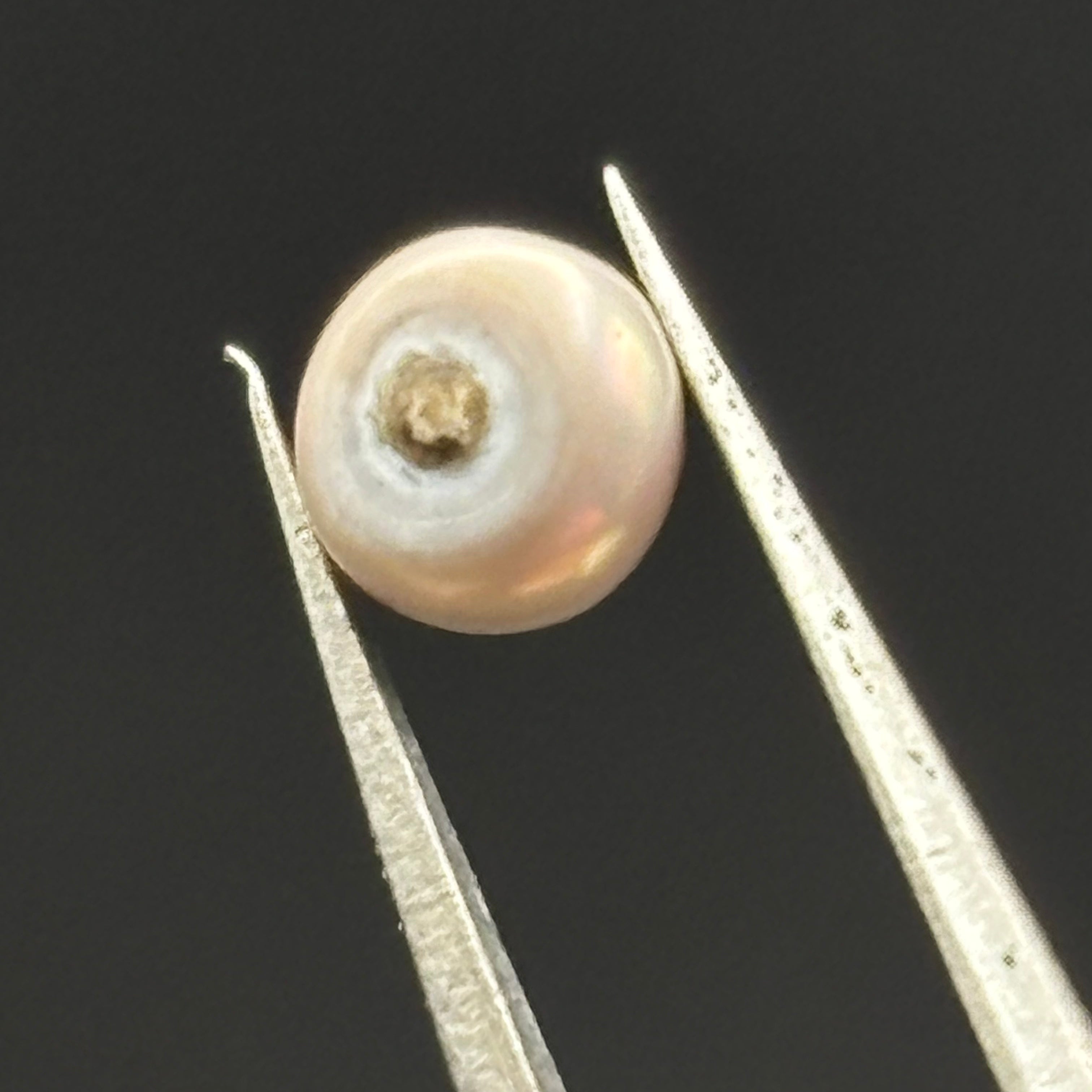 Wild Freshwater Pearl - 064