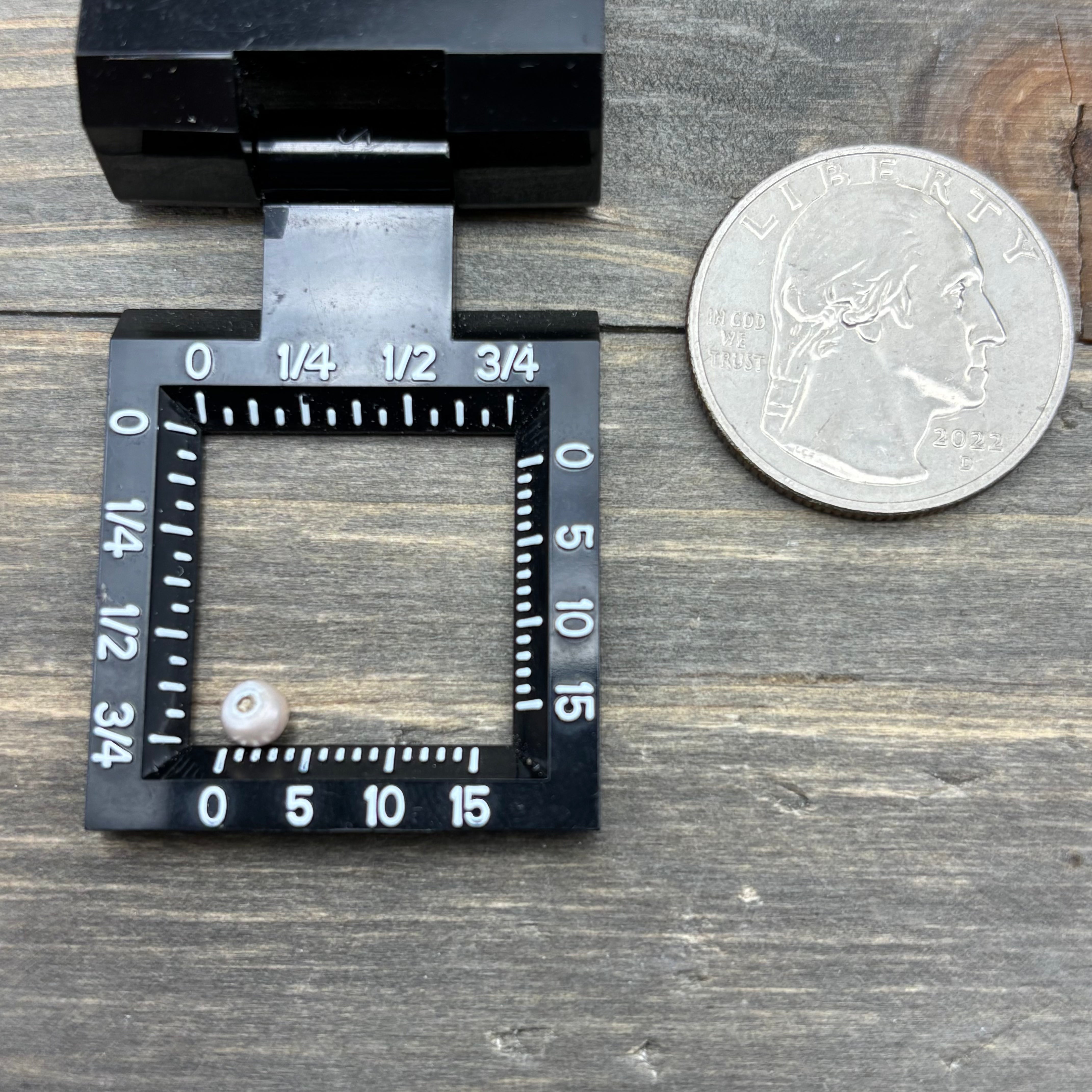 Wild Freshwater Pearl - 064