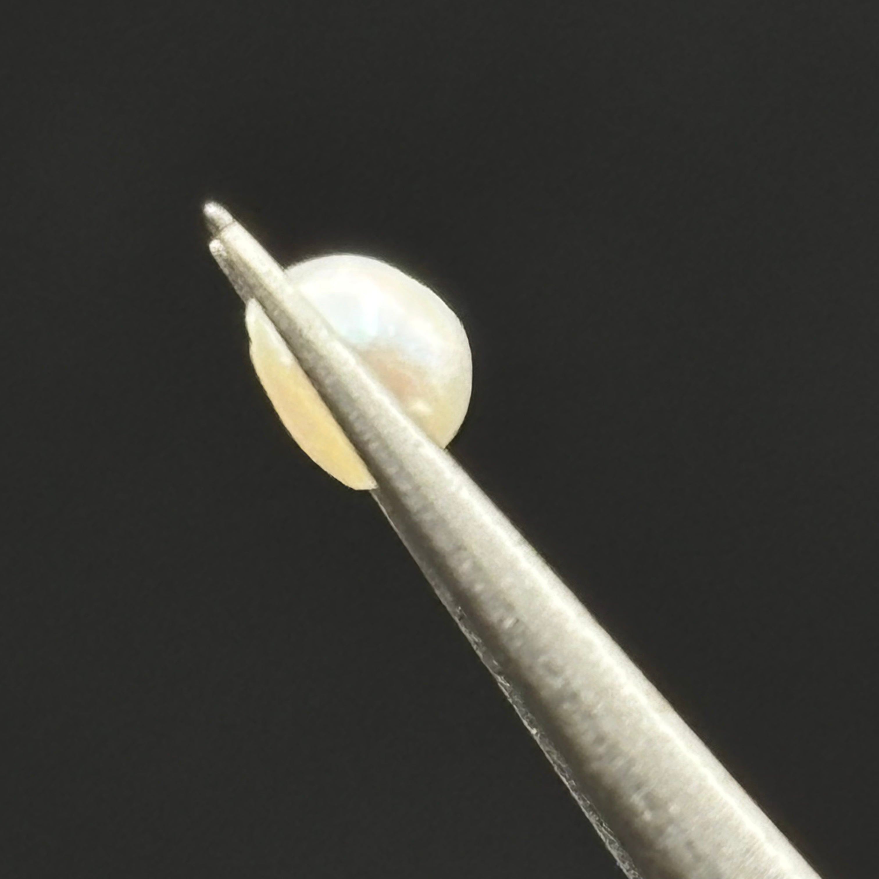 Wild Freshwater Pearl - 067