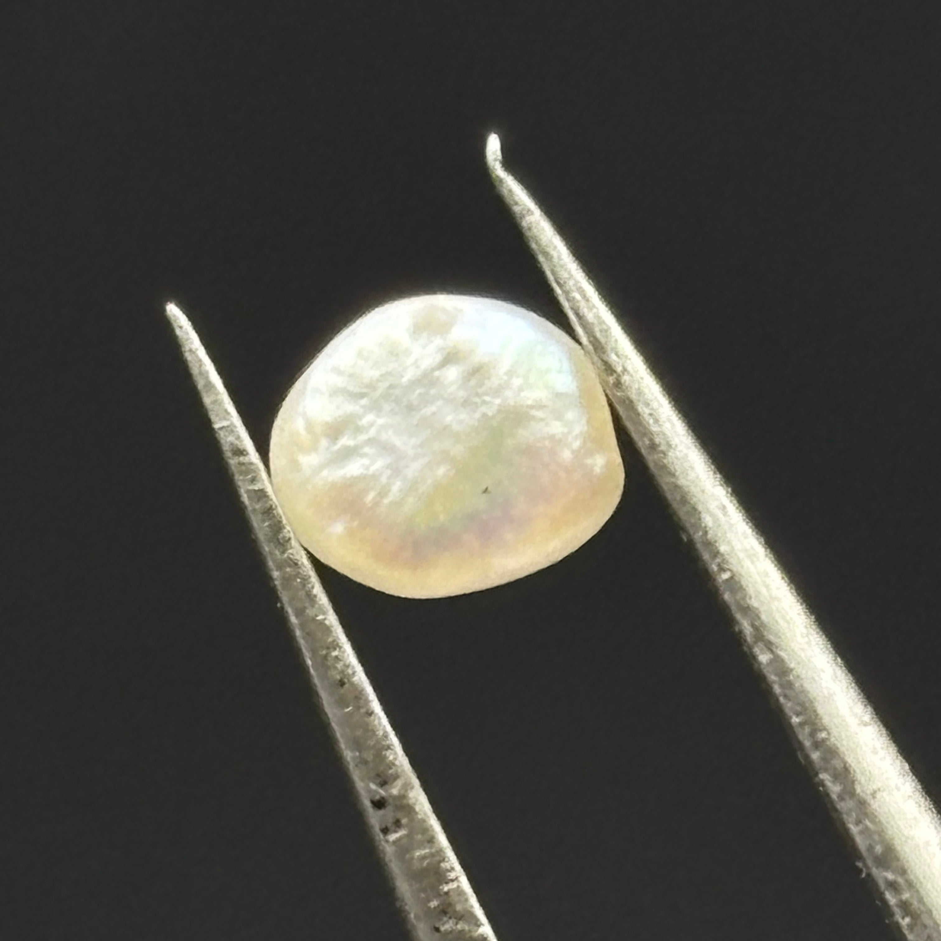 Wild Freshwater Pearl - 067