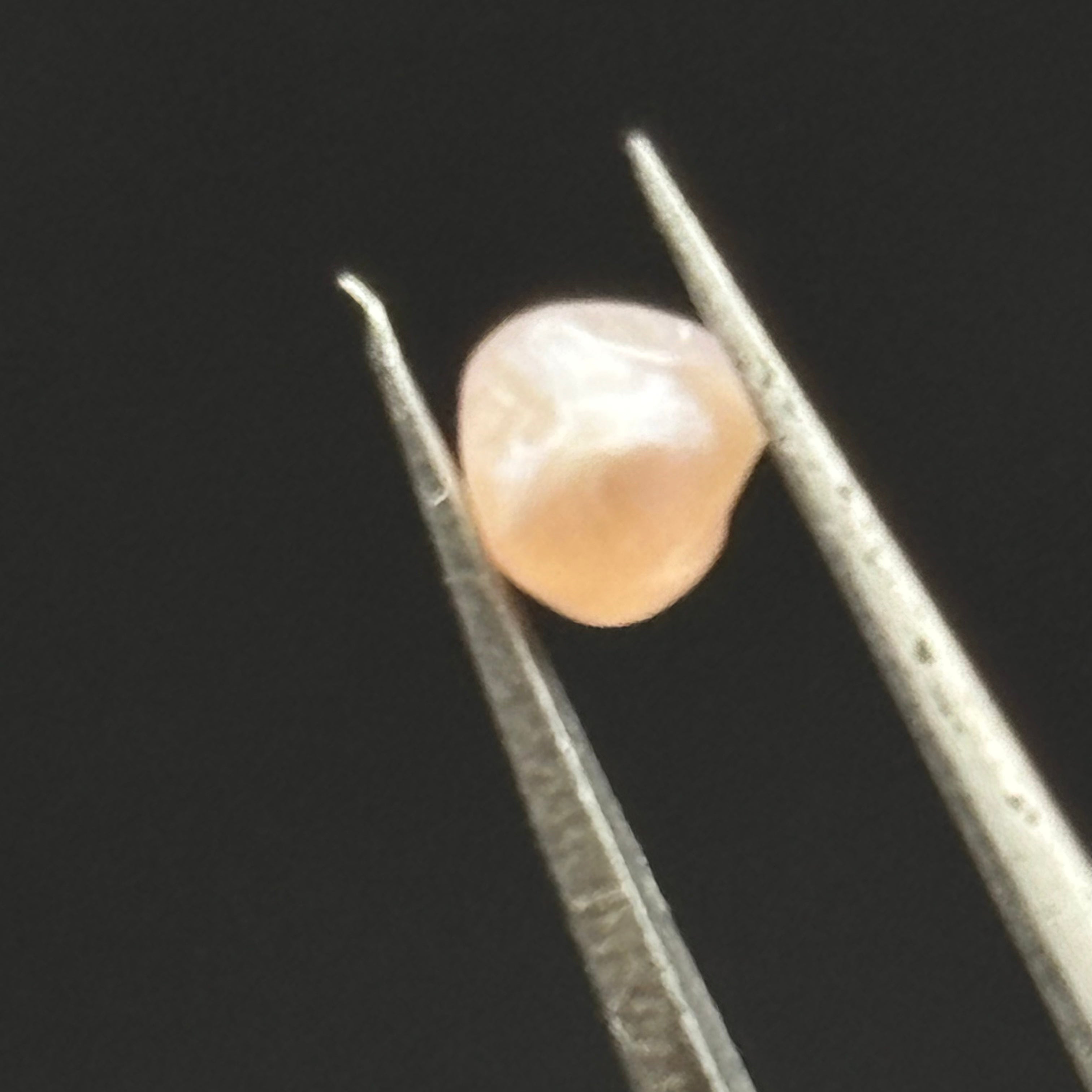 Wild Freshwater Pearl - 068