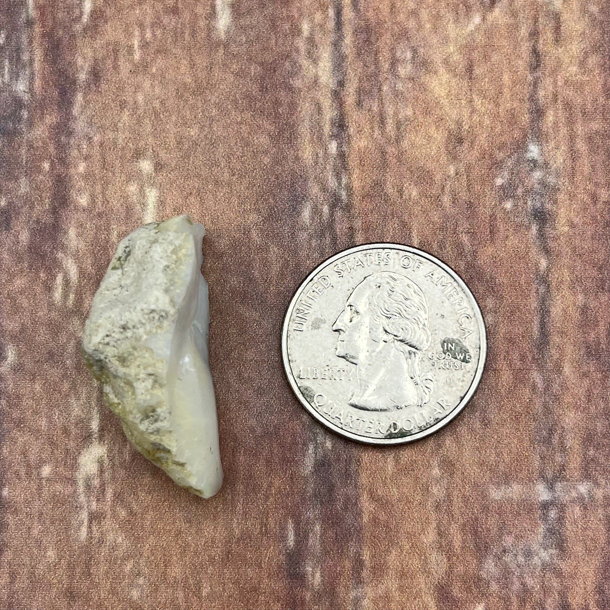 Welo Opal - 153
