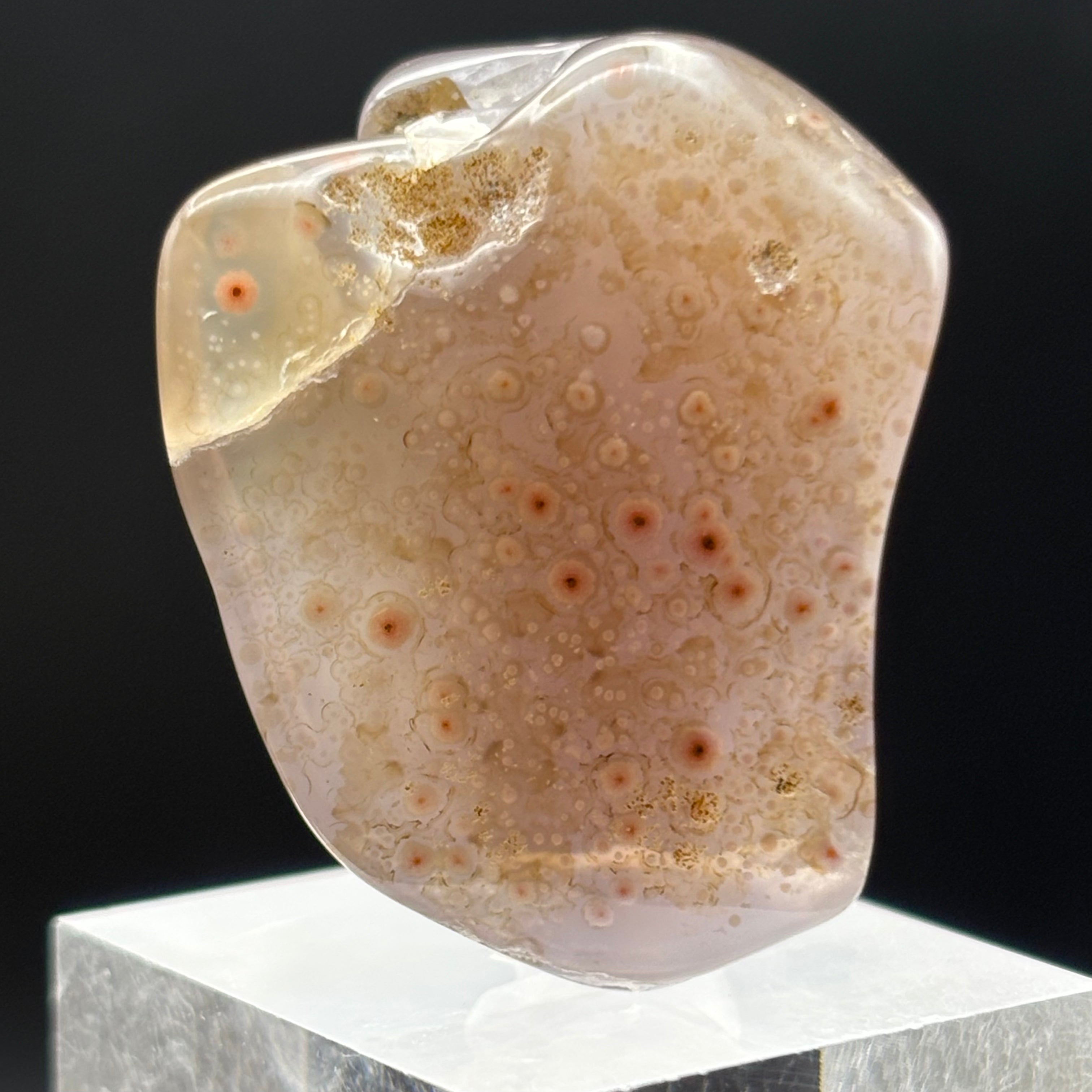 Laguna Agate - 169