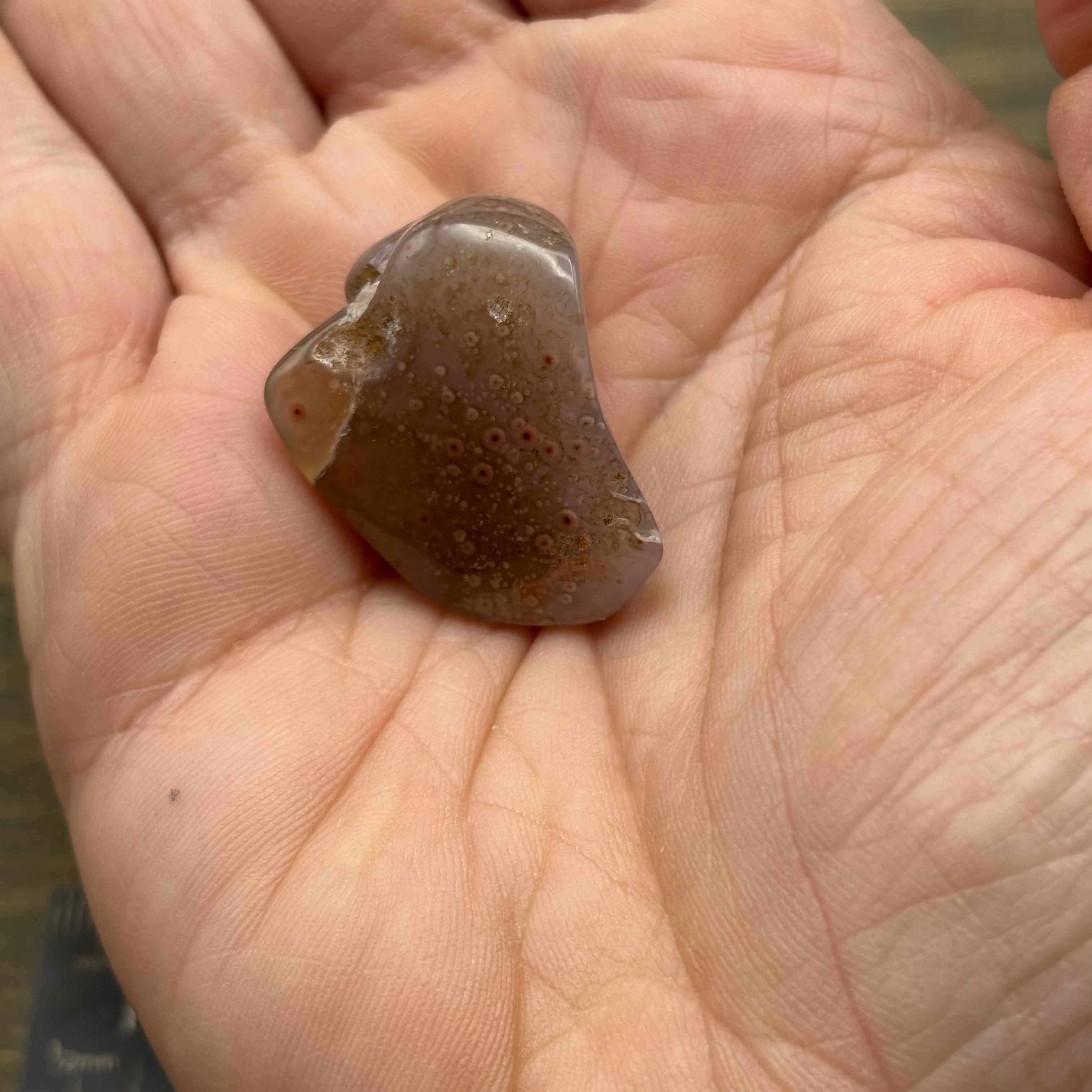Laguna Agate - 169