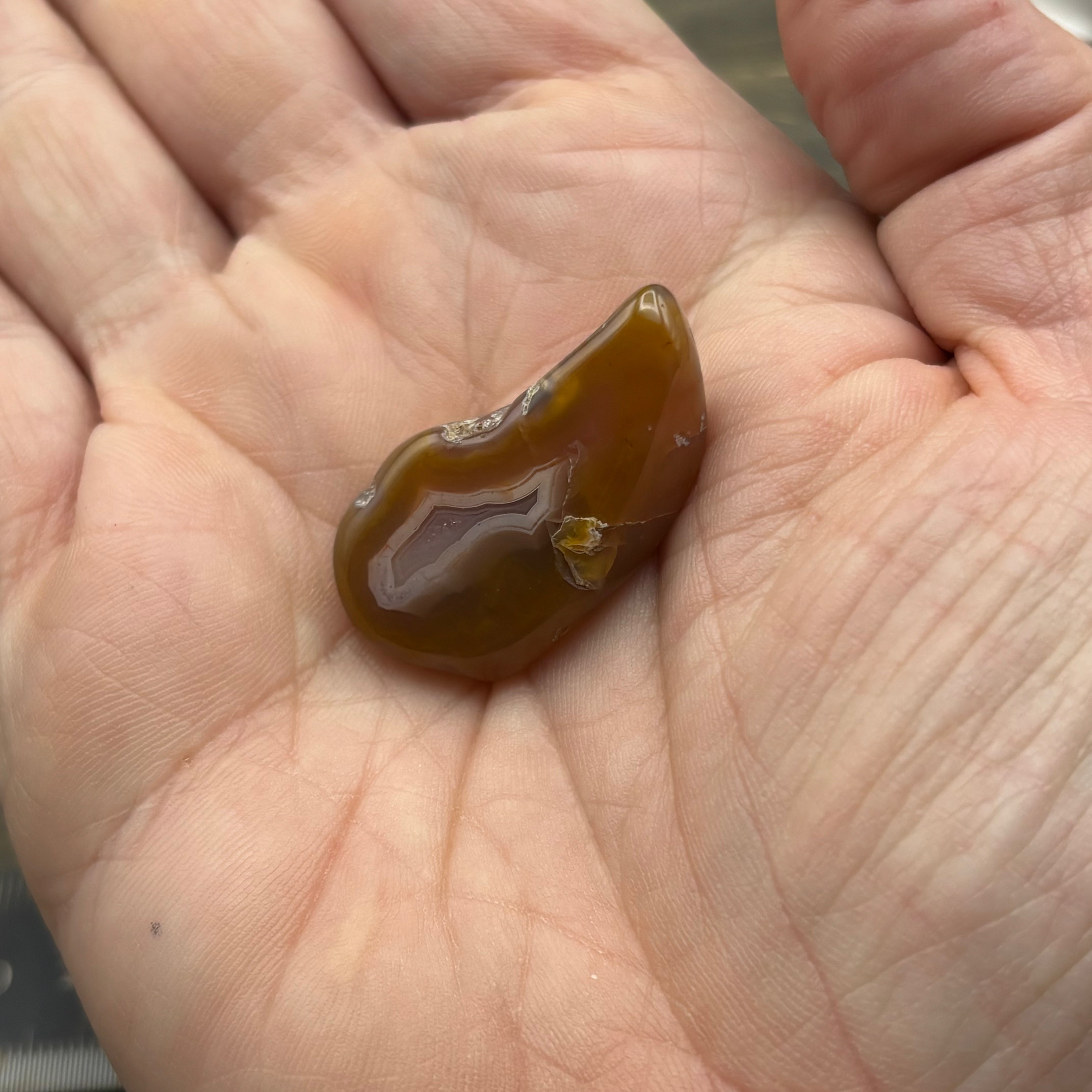 Laguna Agate - 175