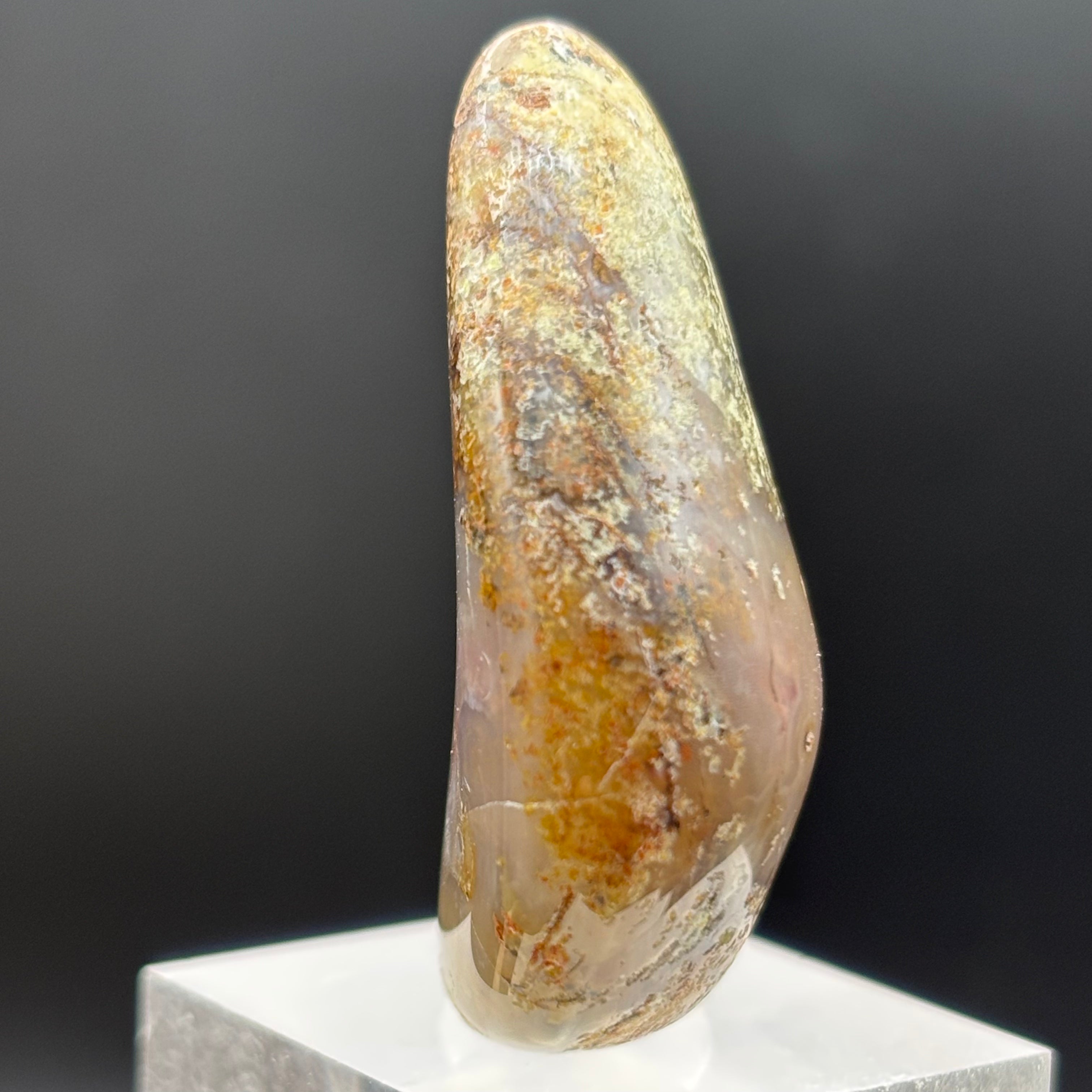 Laguna Agate - 176