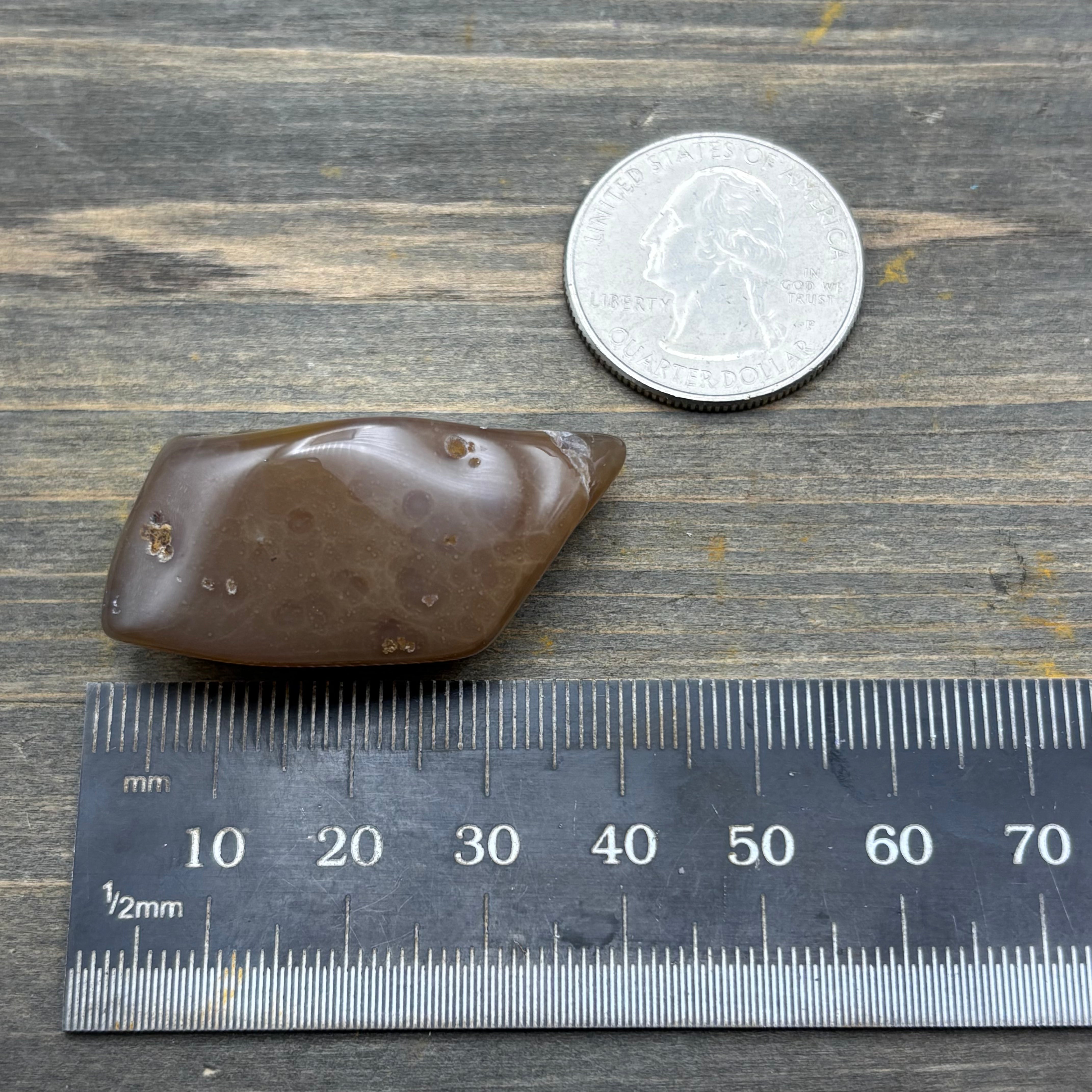 Laguna Agate - 177