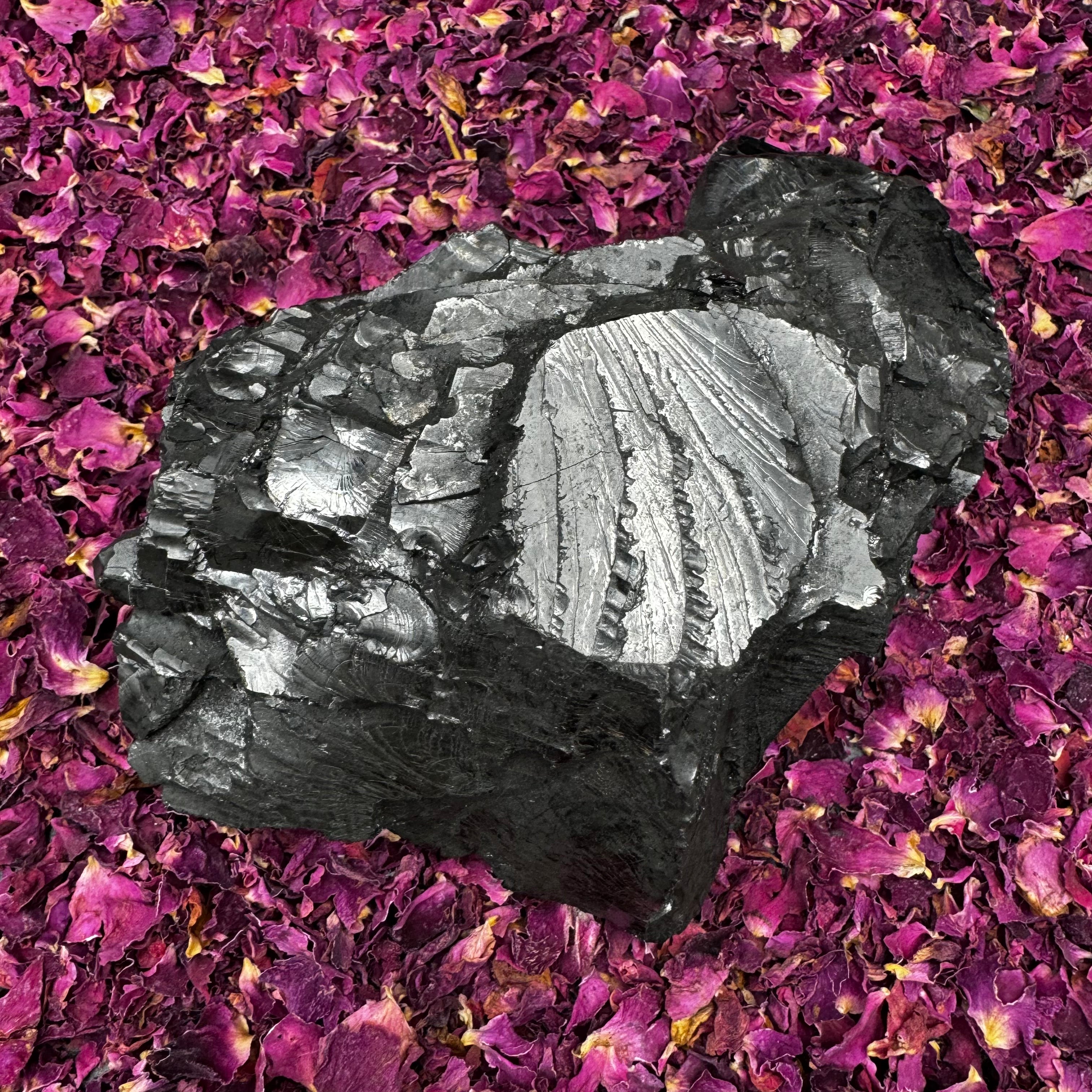 Colombian Shungite, Elite - 159