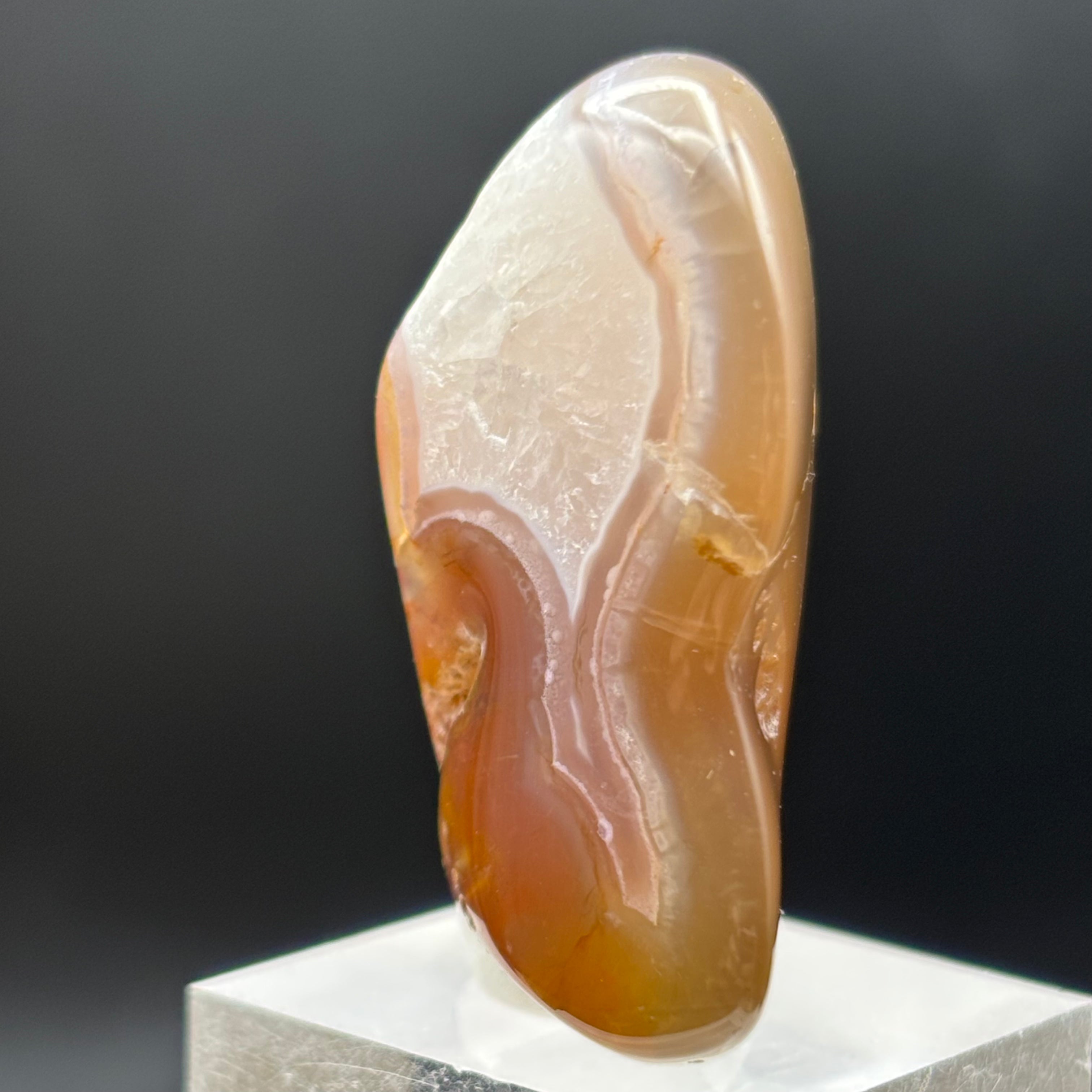 Laguna Agate - 186