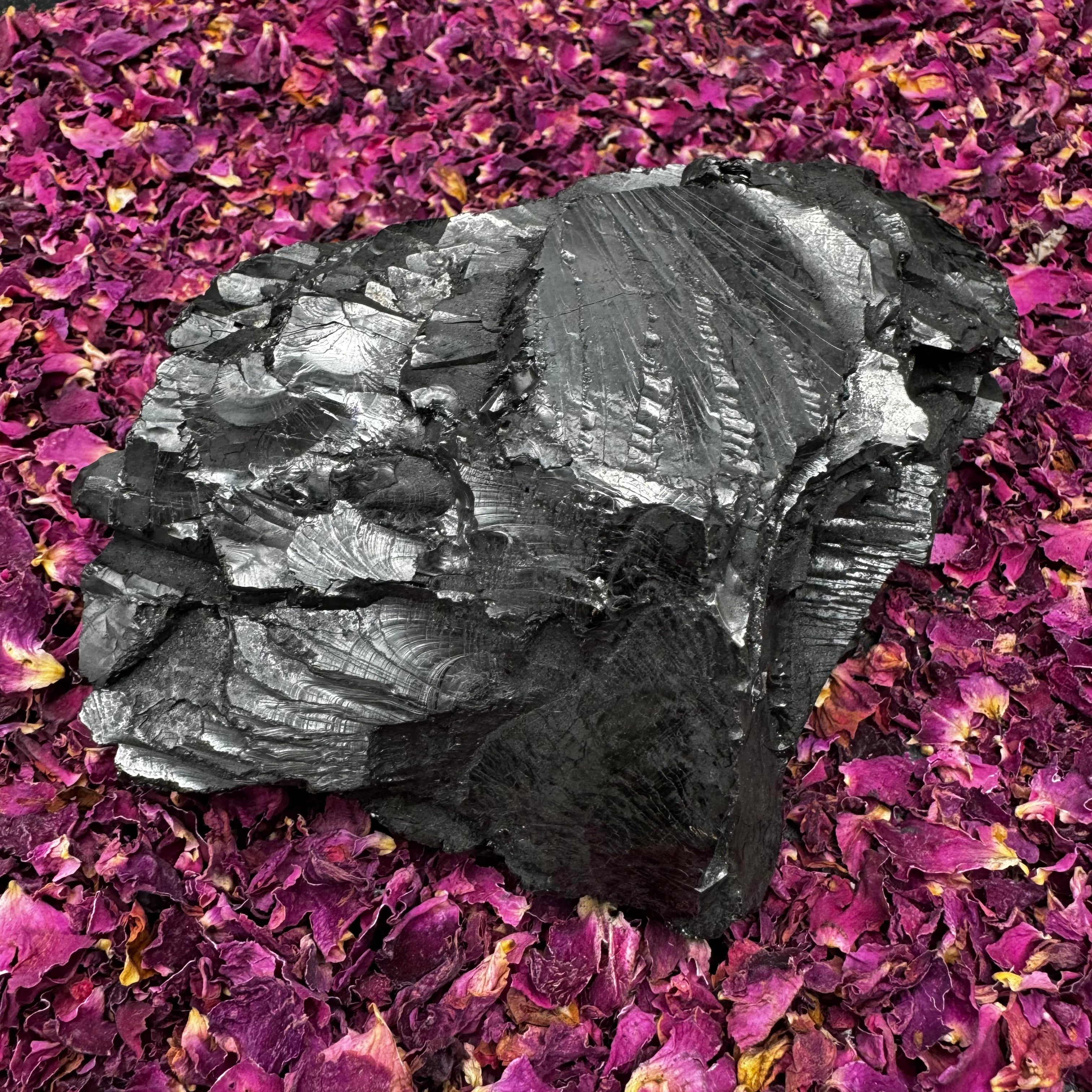 Colombian Shungite, Elite - 159