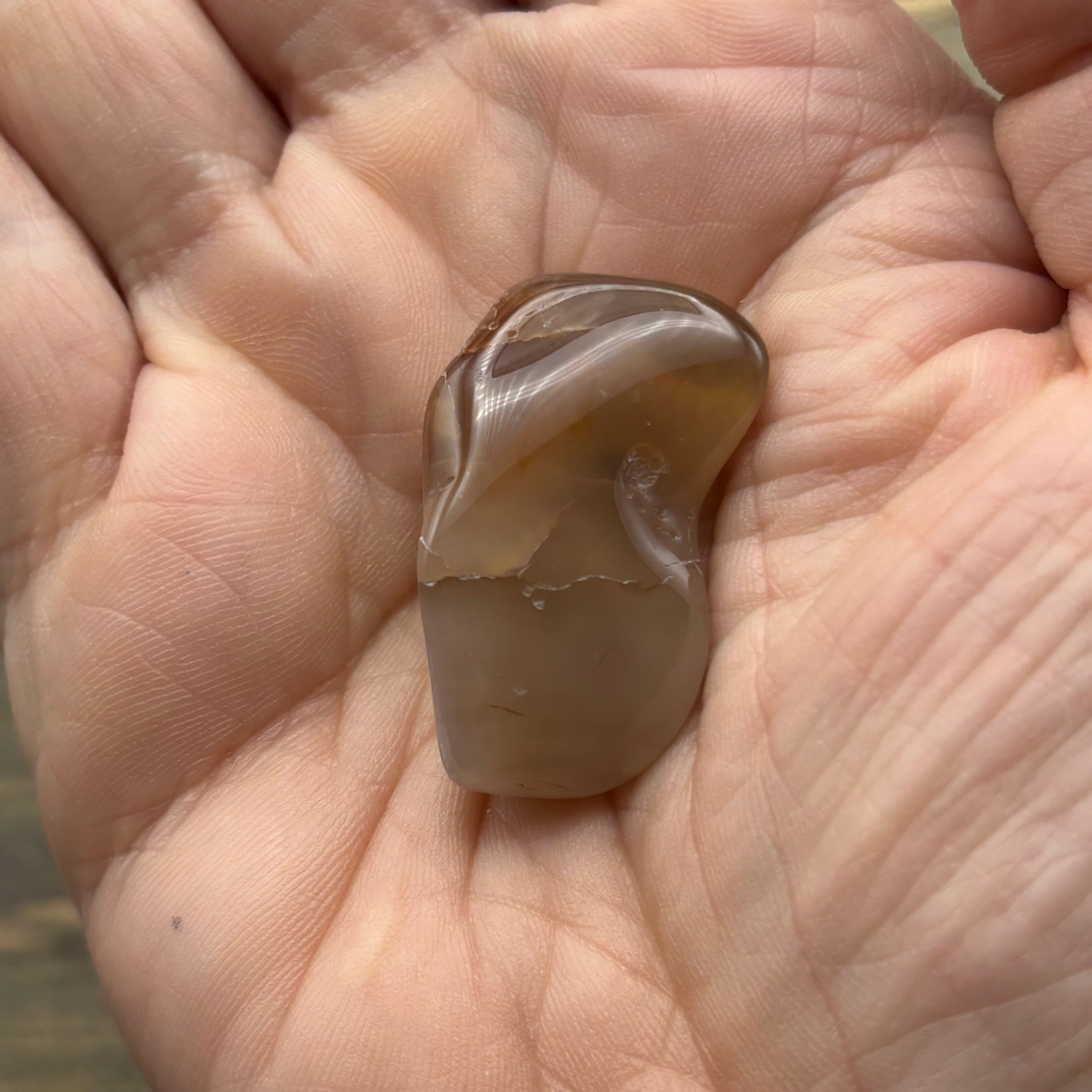 Laguna Agate - 186