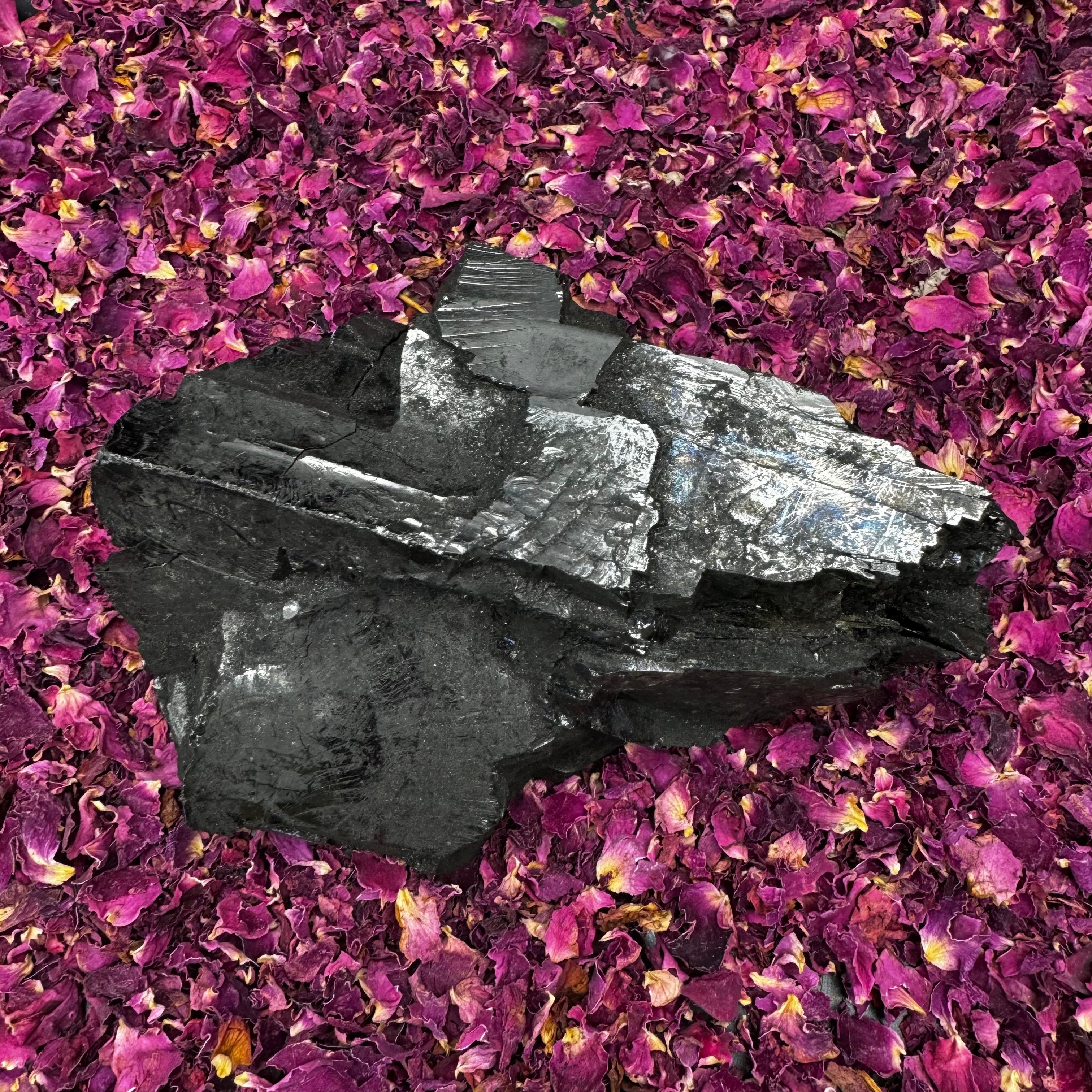 Colombian Shungite, Elite - 148