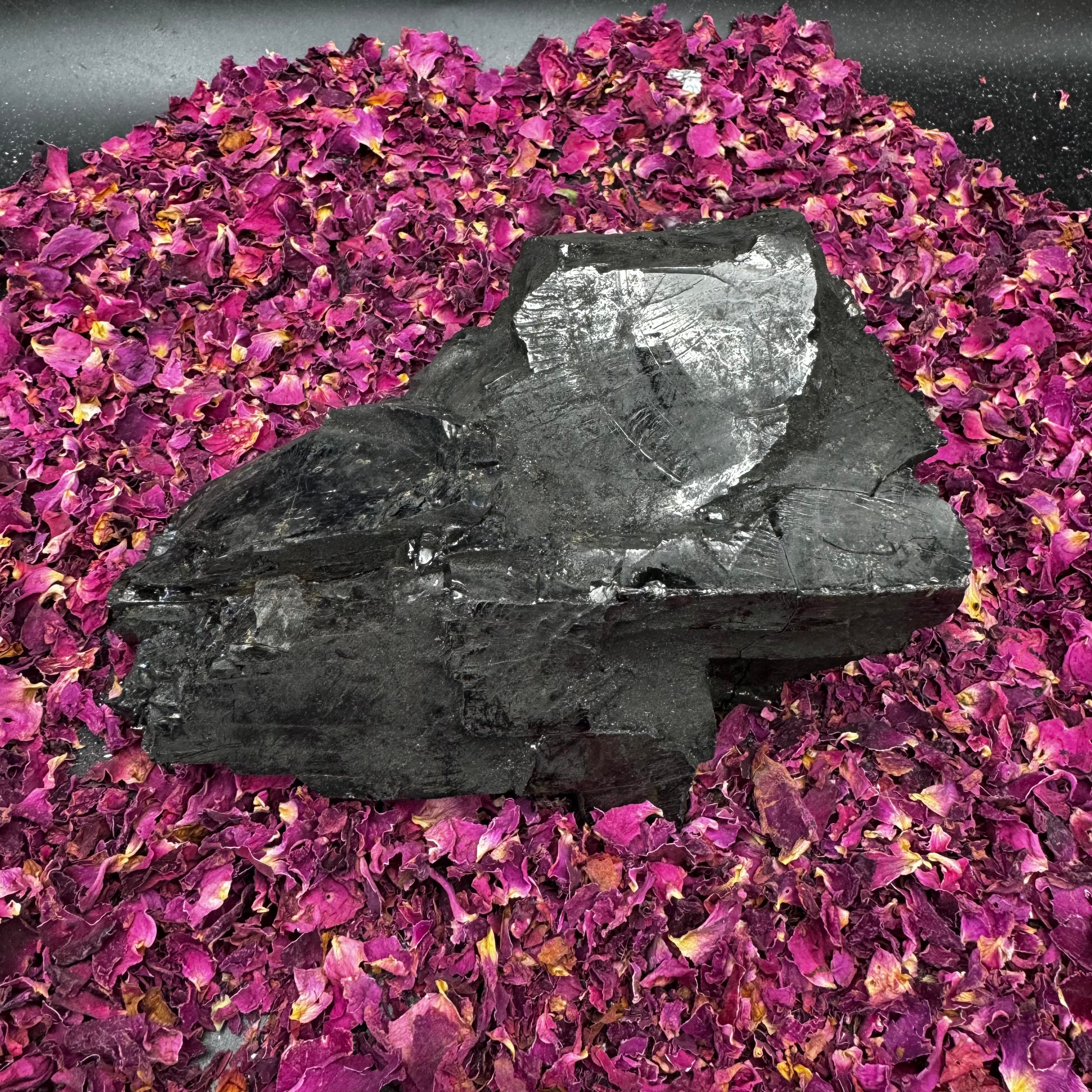 Colombian Shungite, Elite - 148