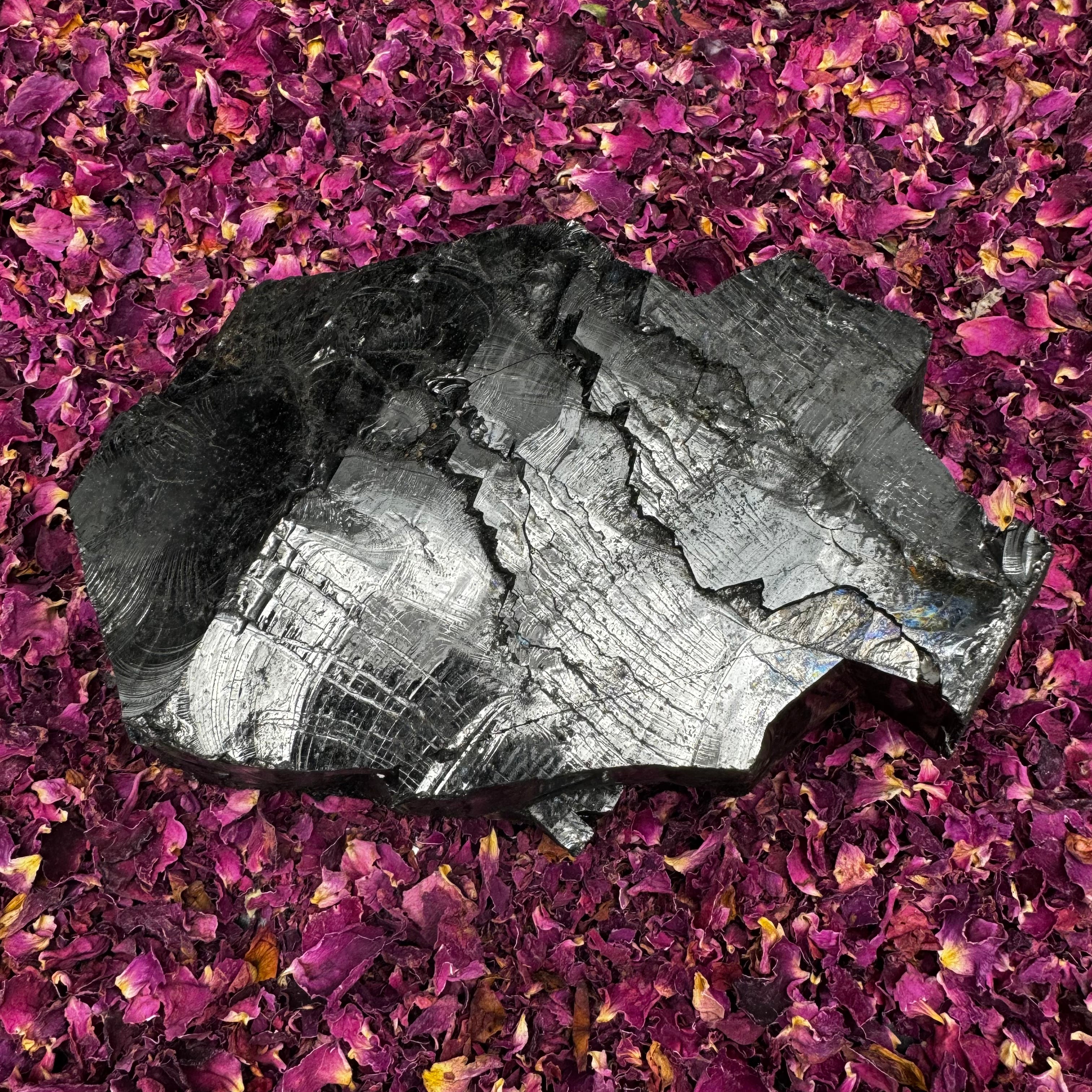 Colombian Shungite, Elite - 149