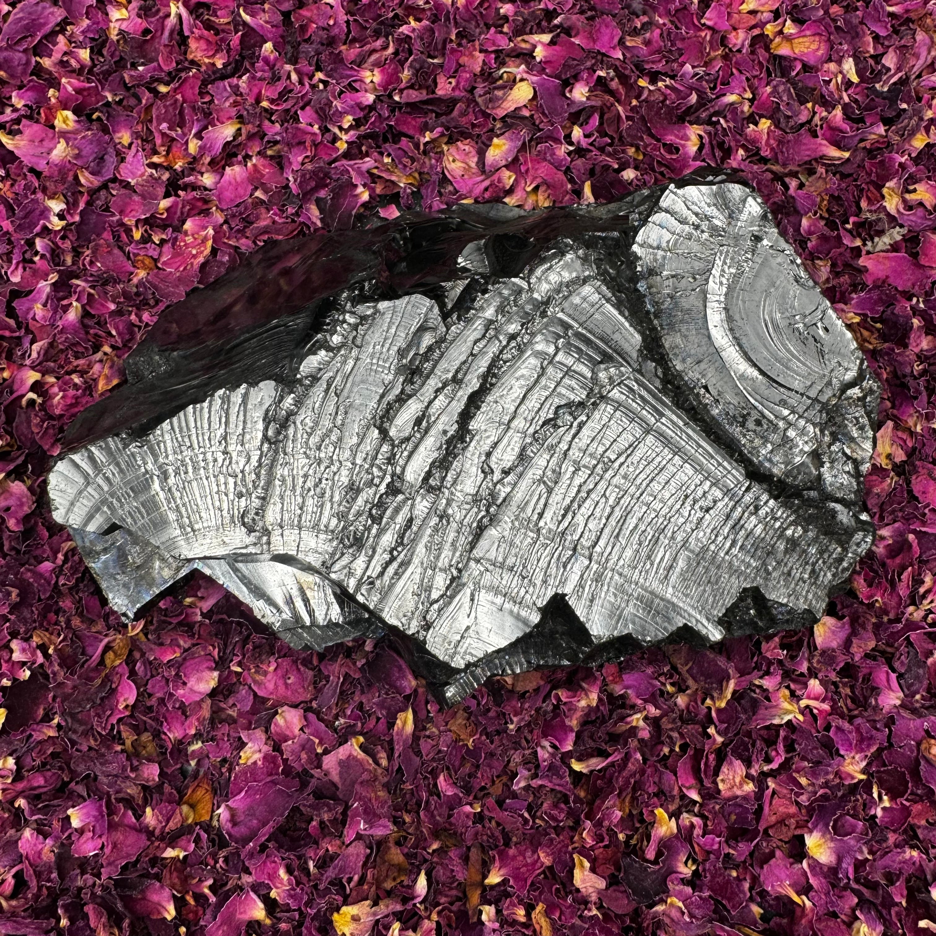 Colombian Shungite, Elite - 149