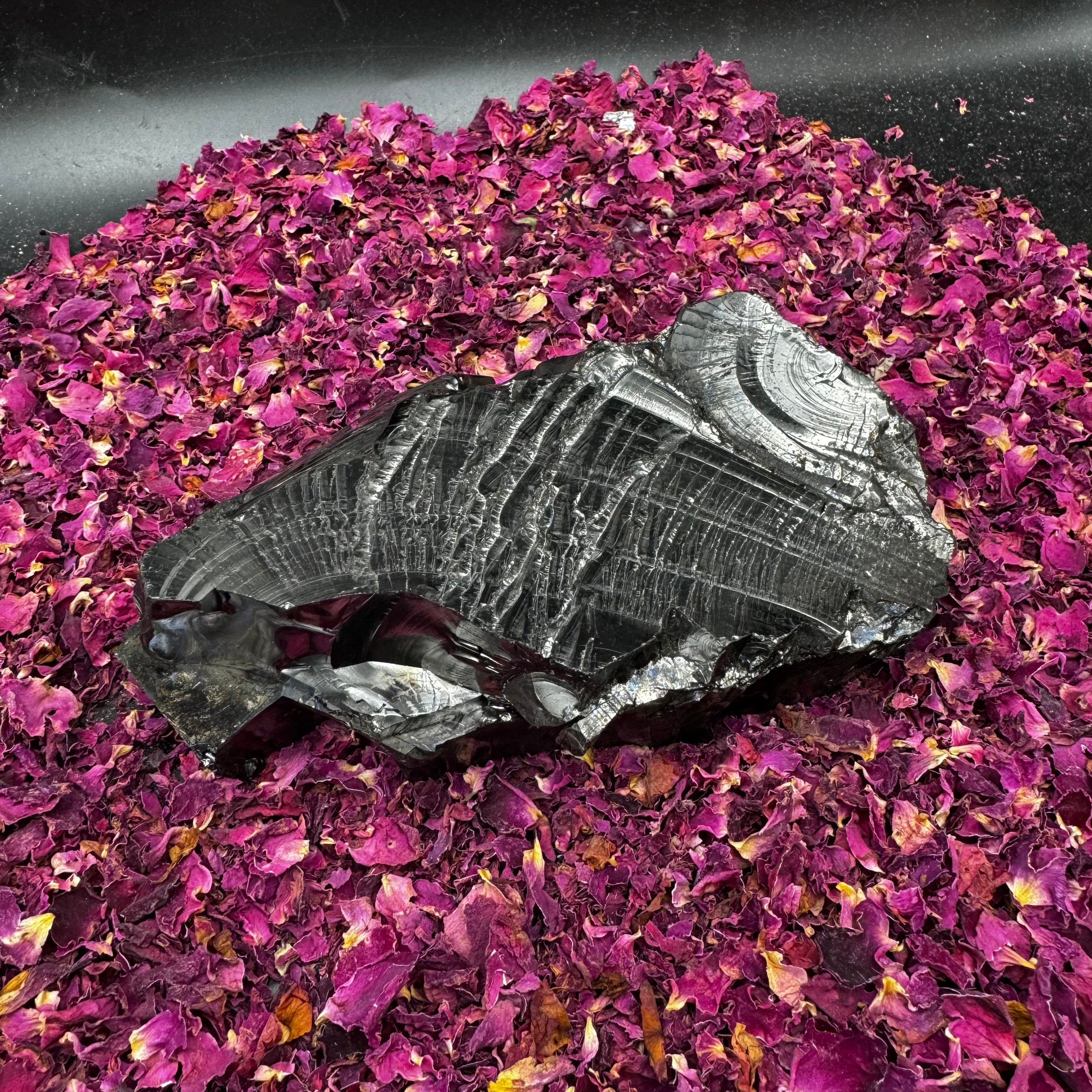 Colombian Shungite, Elite - 149
