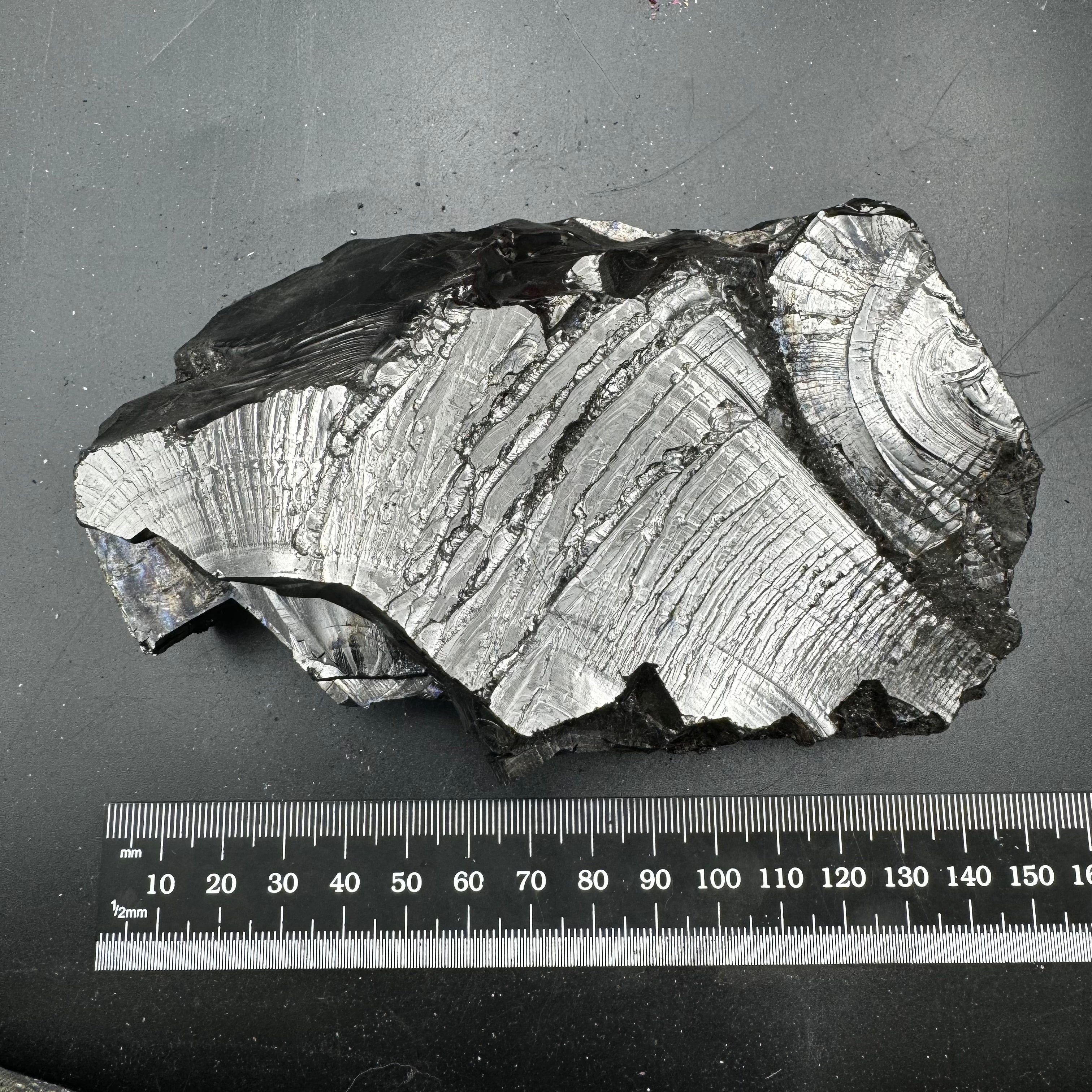 Colombian Shungite, Elite - 149