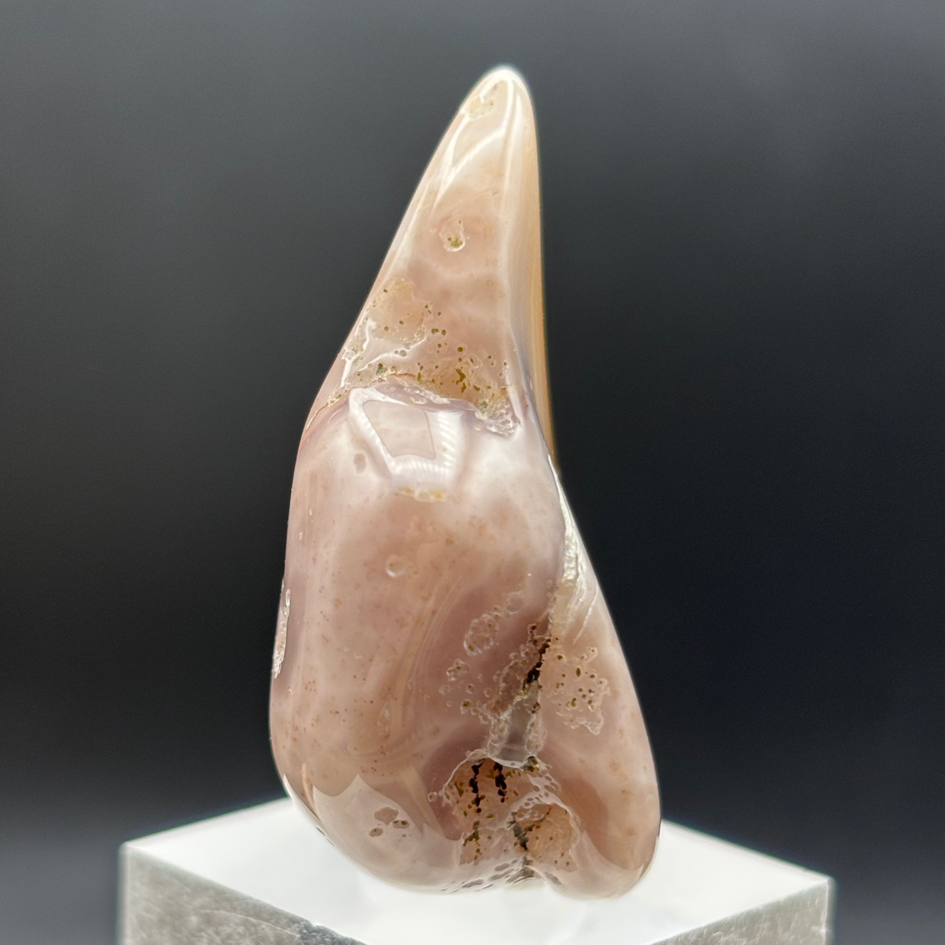 Laguna Agate - 196