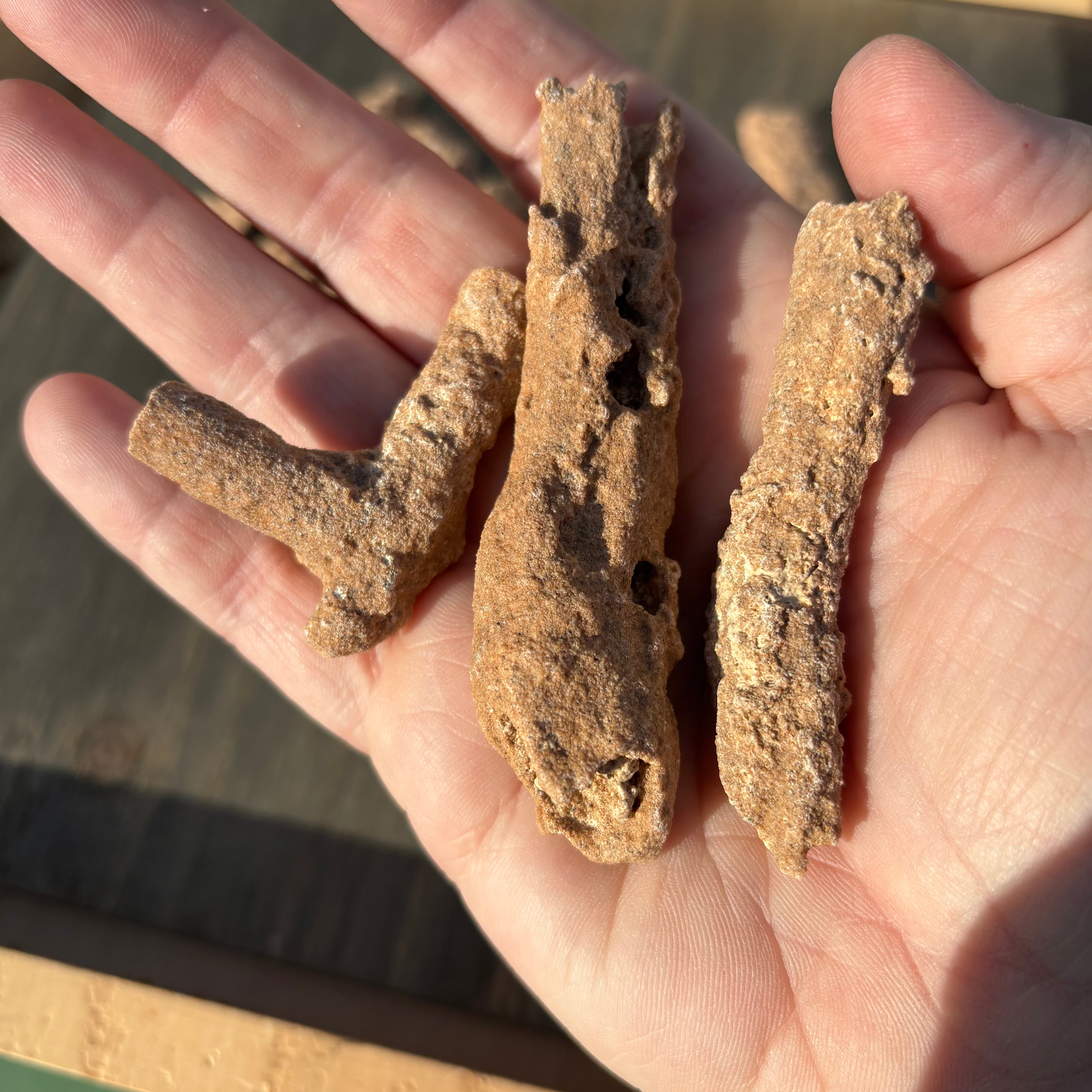 Fulgurite, Kit of 3