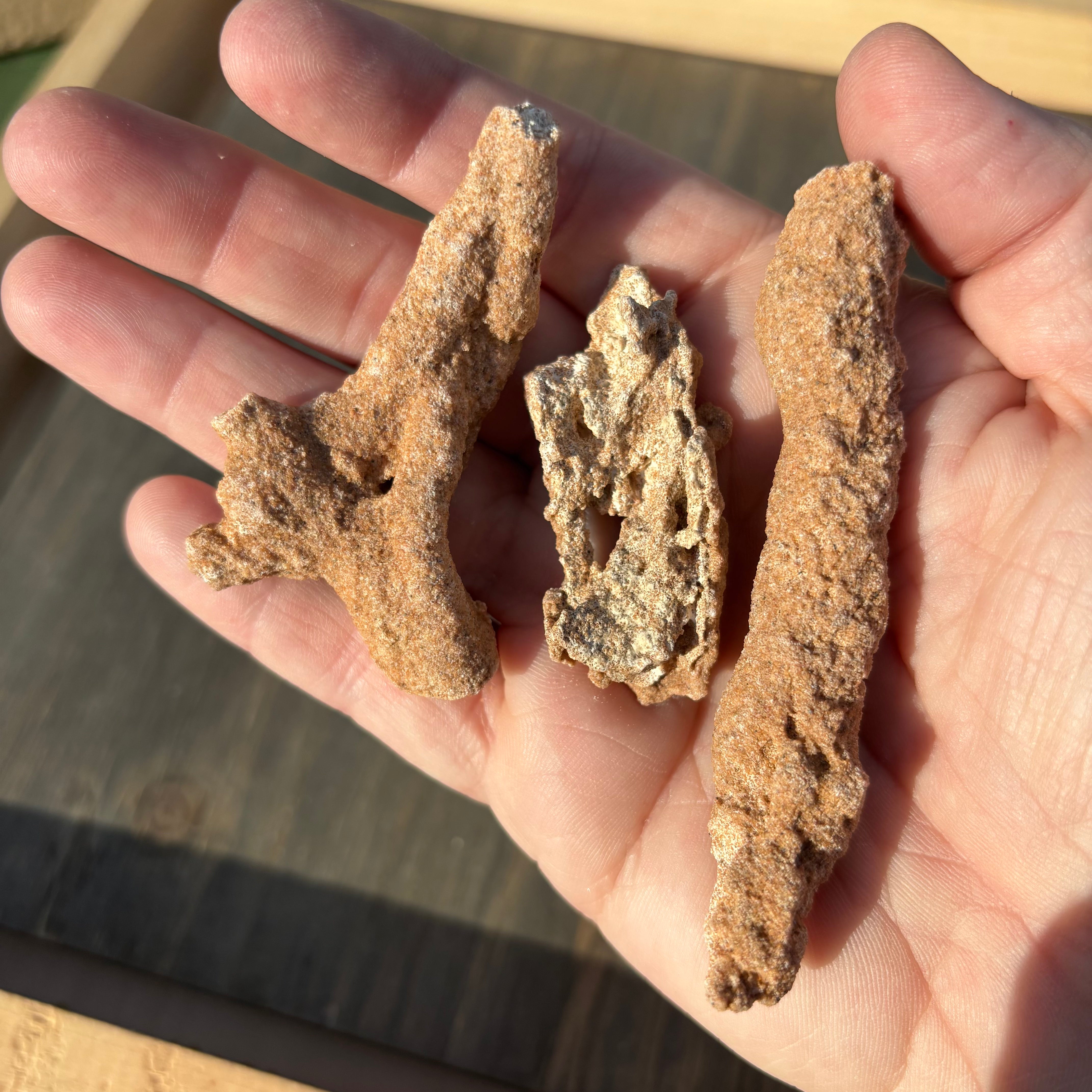Fulgurite, Kit of 3
