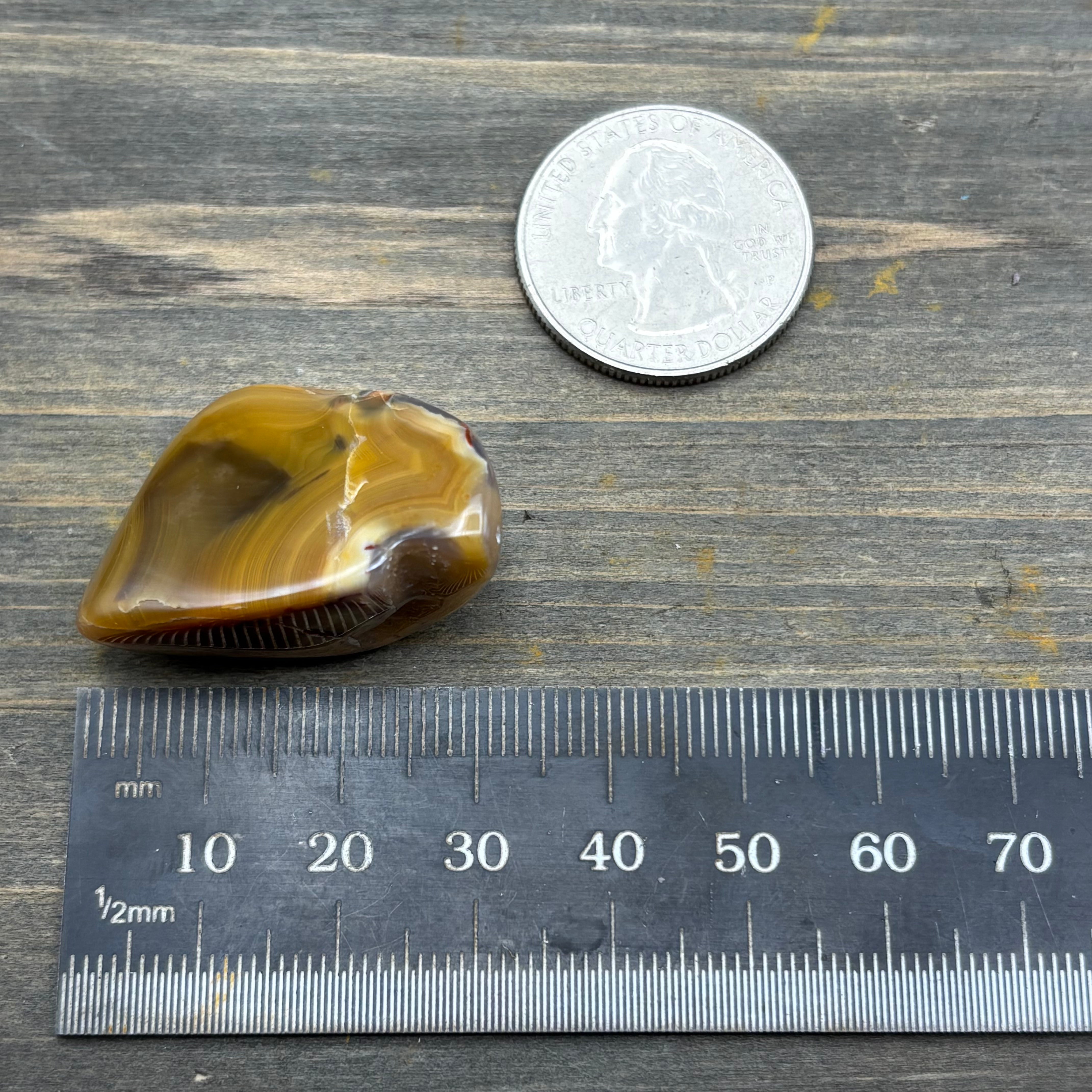 Laguna Agate - 200