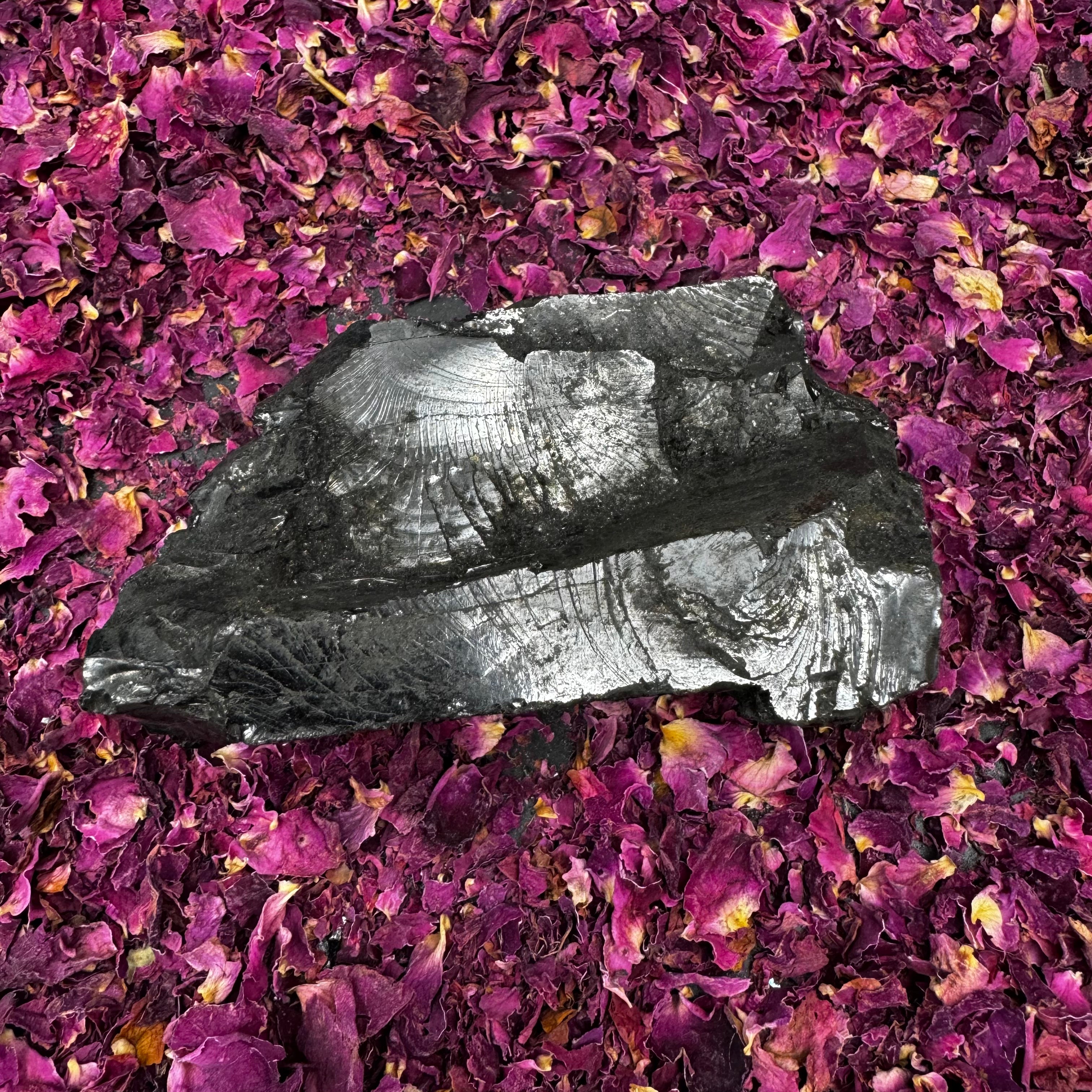 Colombian Shungite, Elite - 167