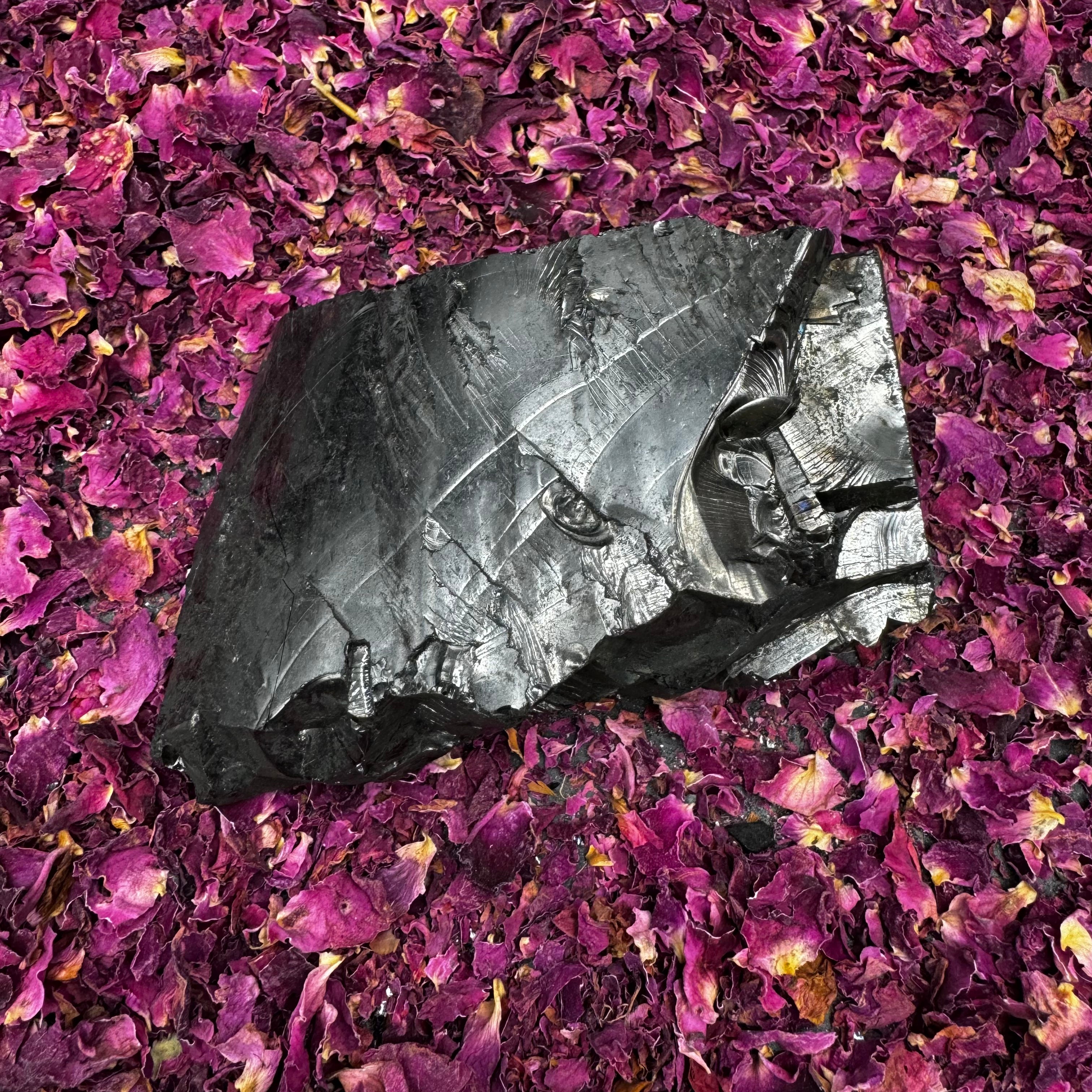 Colombian Shungite, Elite - 168