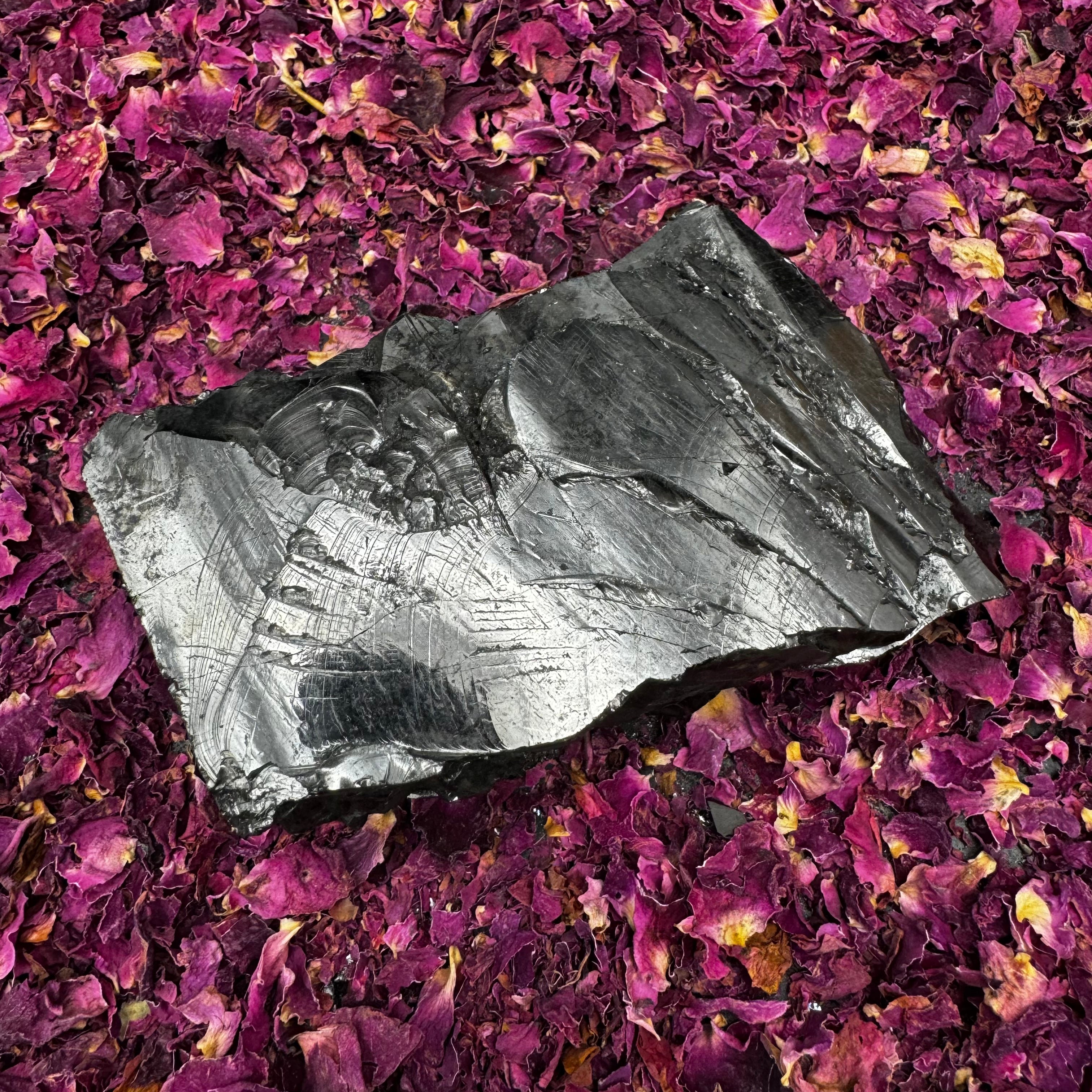 Colombian Shungite, Elite - 168