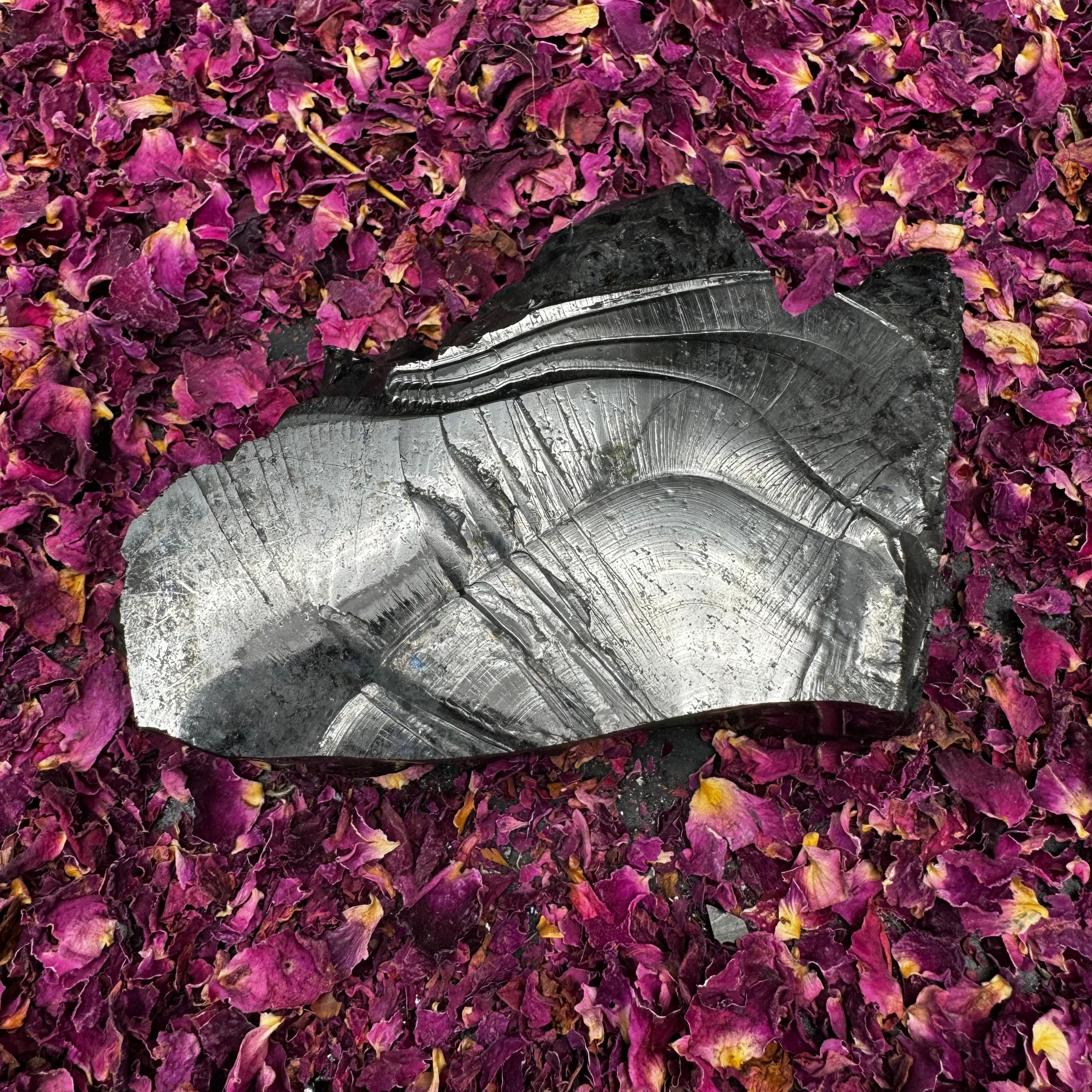 Colombian Shungite, Elite - 169