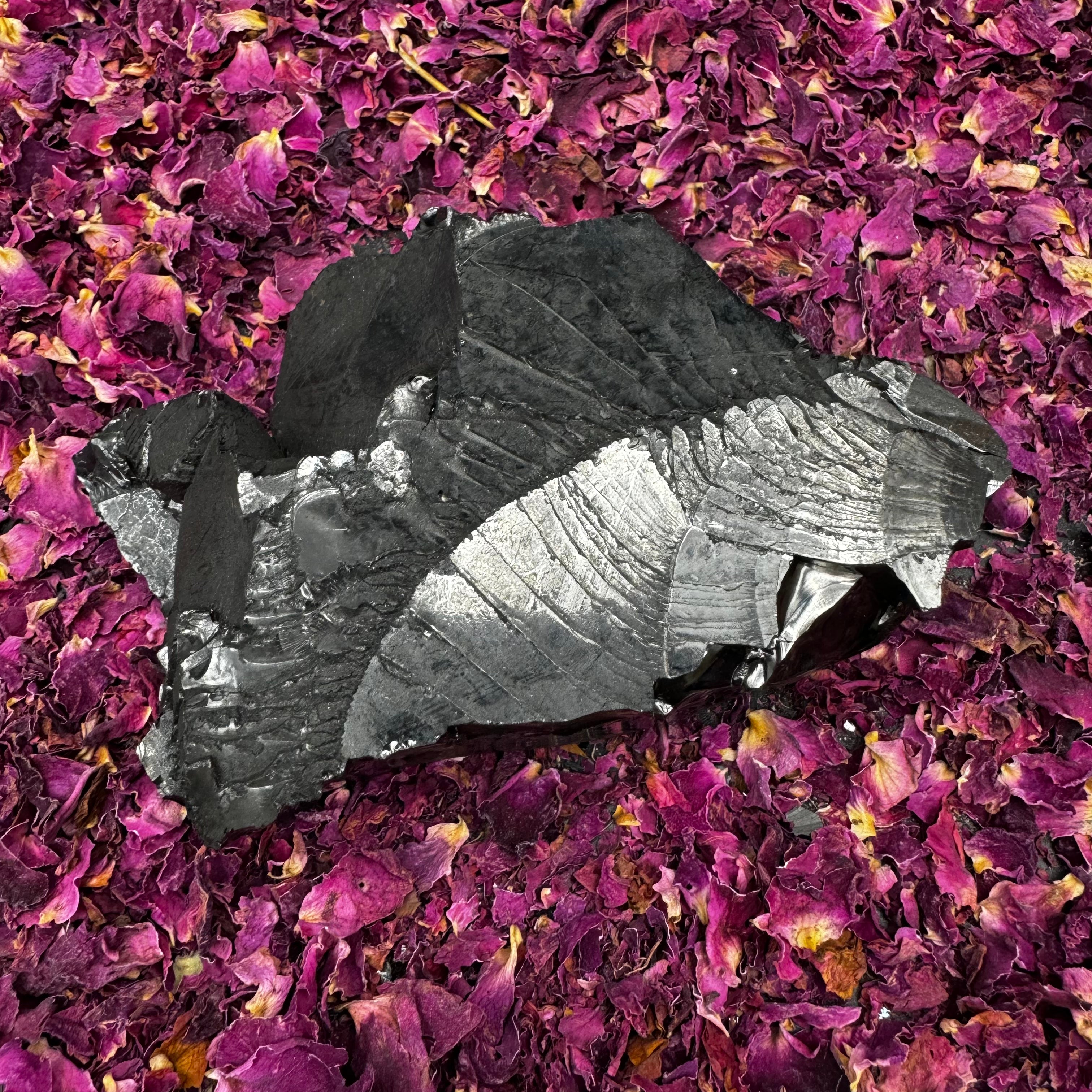 Colombian Shungite, Elite - 169