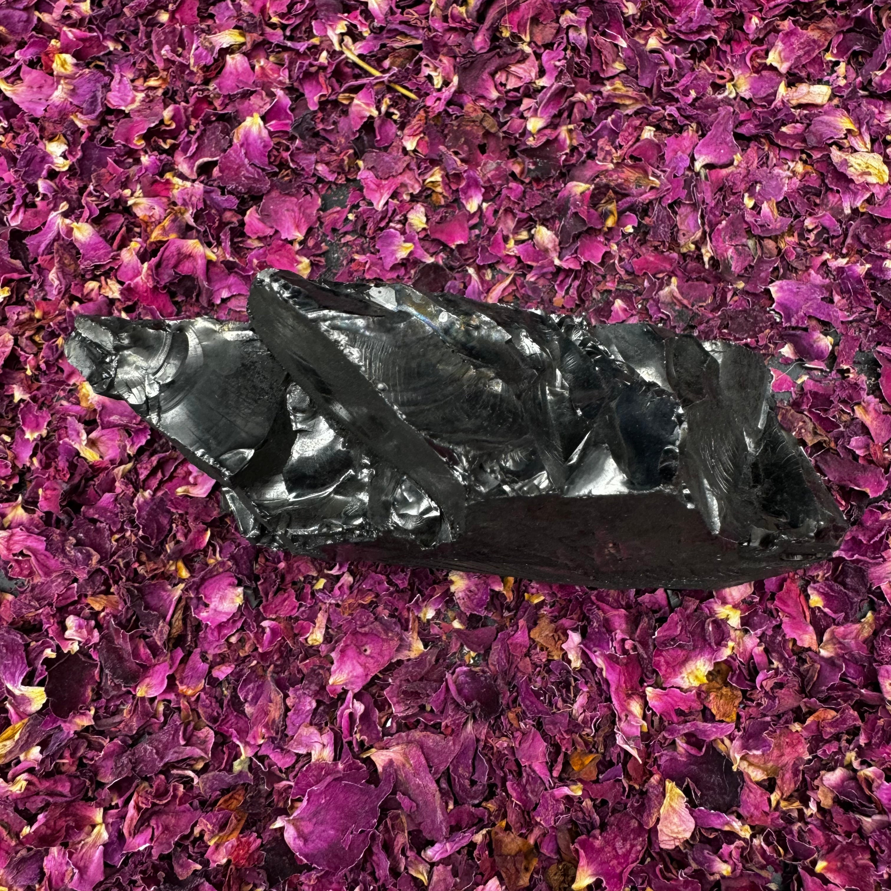 Colombian Shungite, Elite - 169