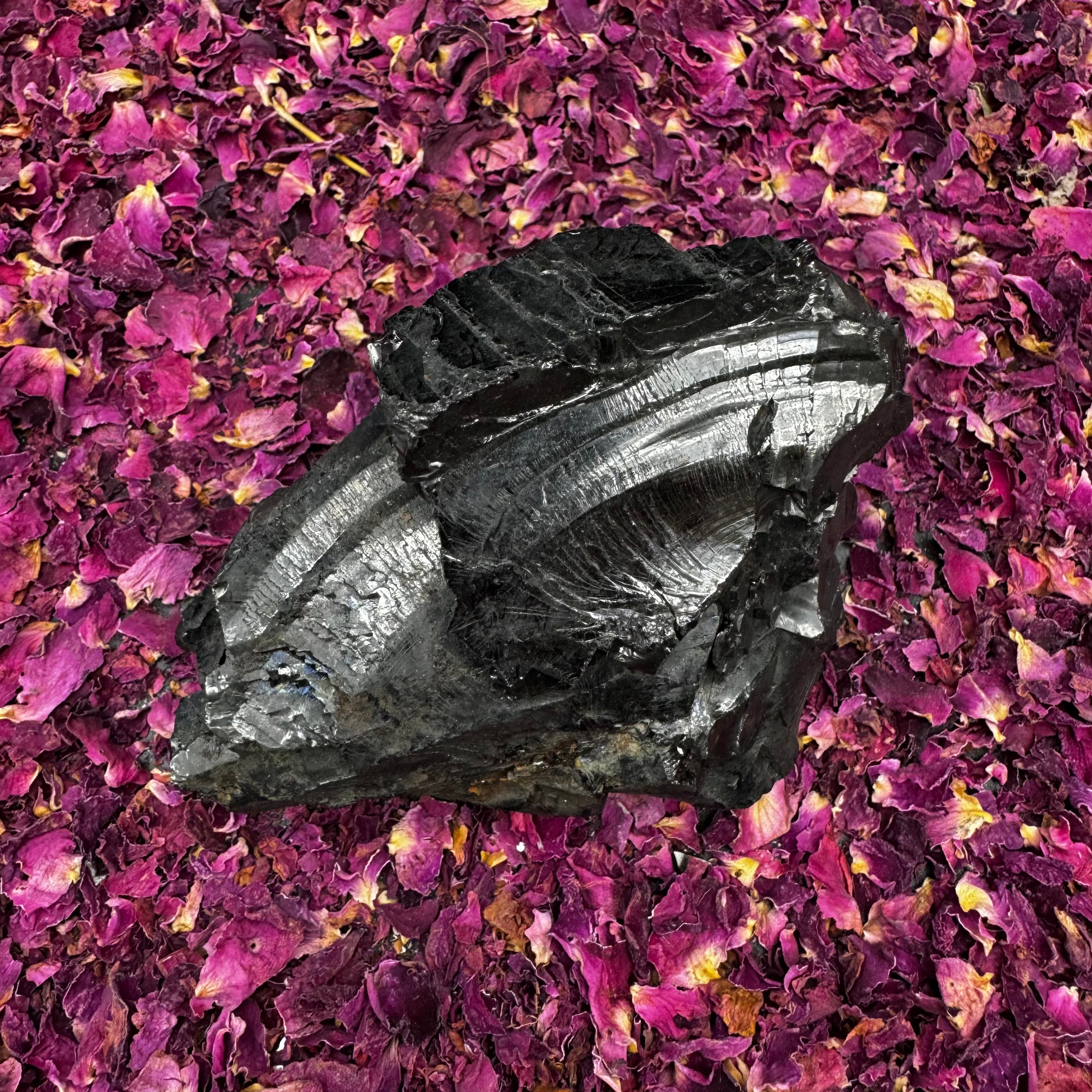 Colombian Shungite, Elite - 171