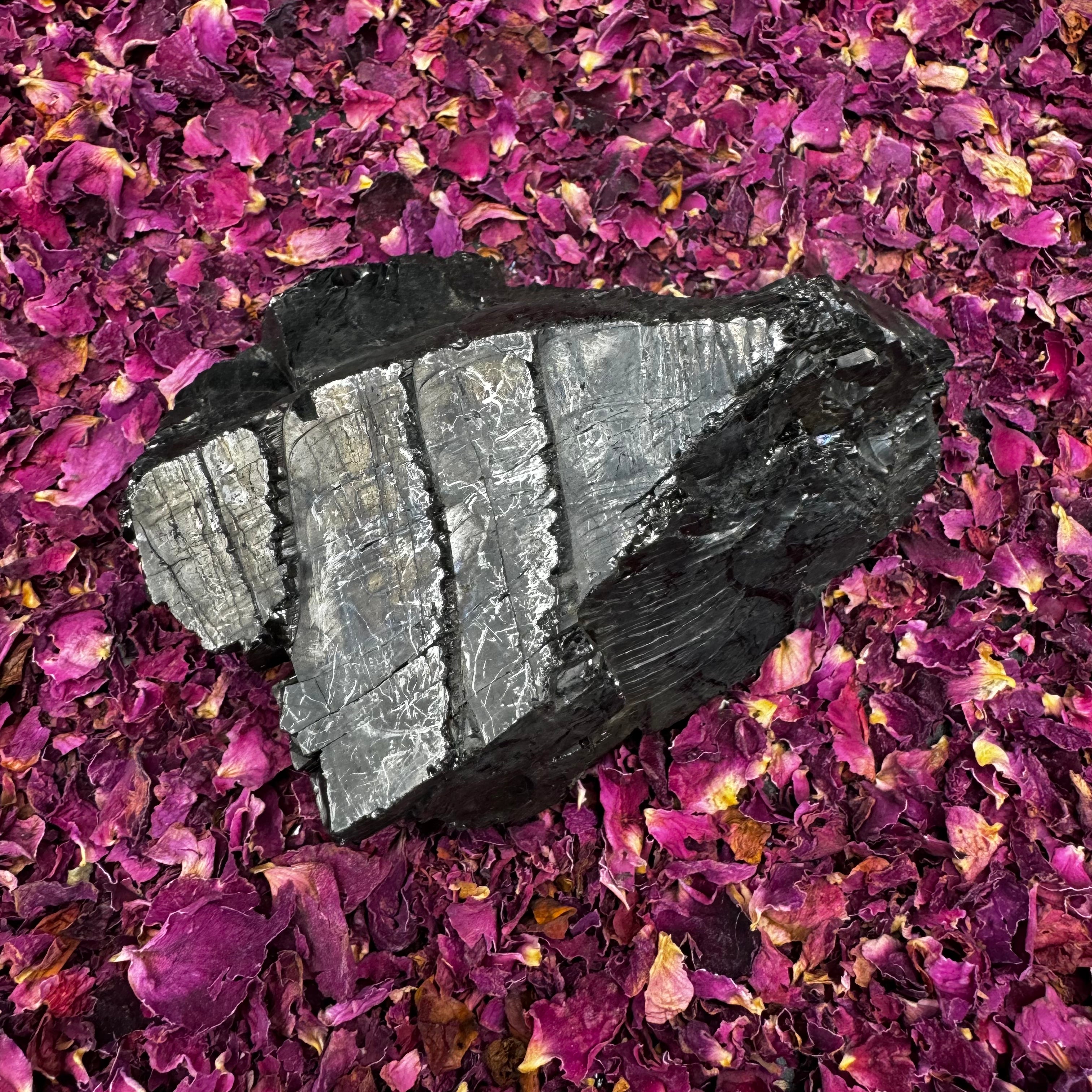 Colombian Shungite, Elite - 171