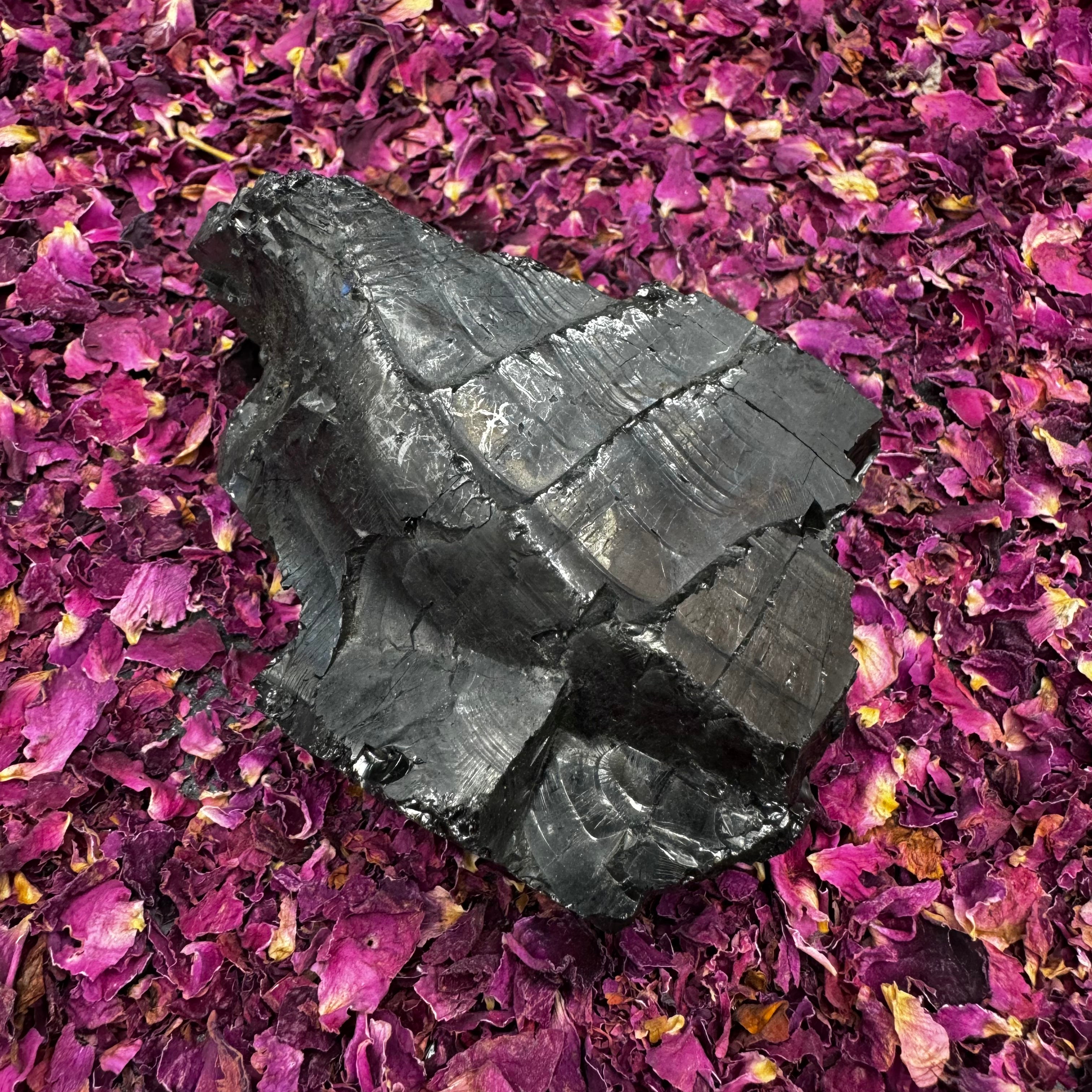 Colombian Shungite, Elite - 171