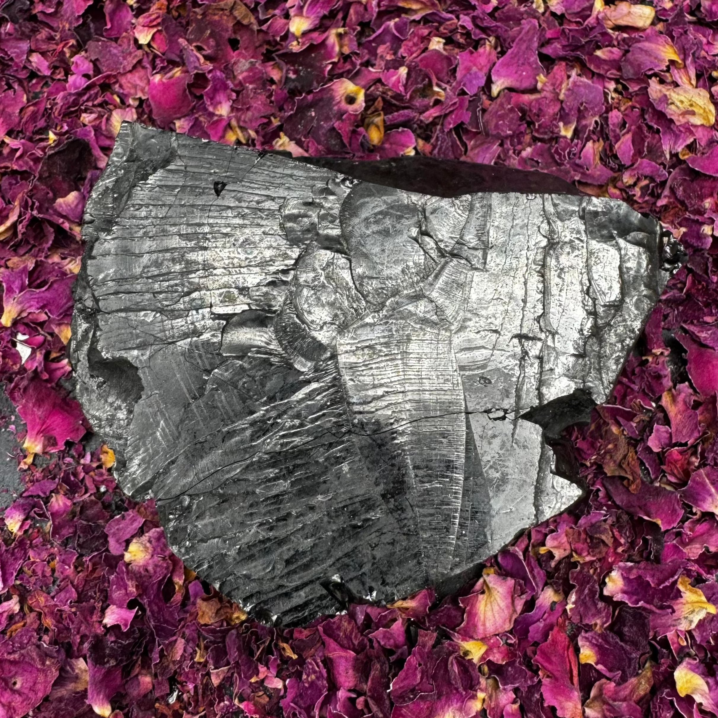 Colombian Shungite, Elite - 173