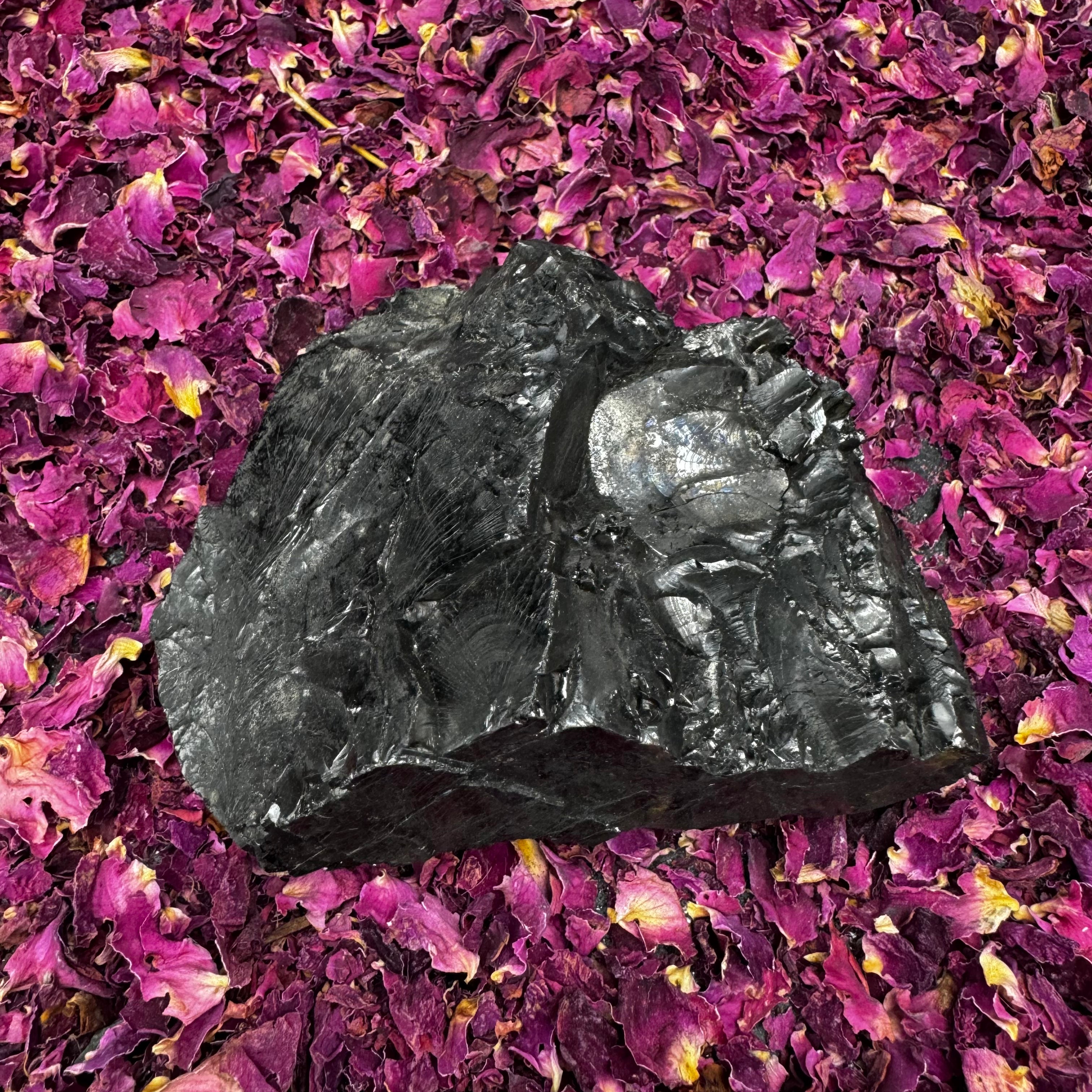 Colombian Shungite, Elite - 176