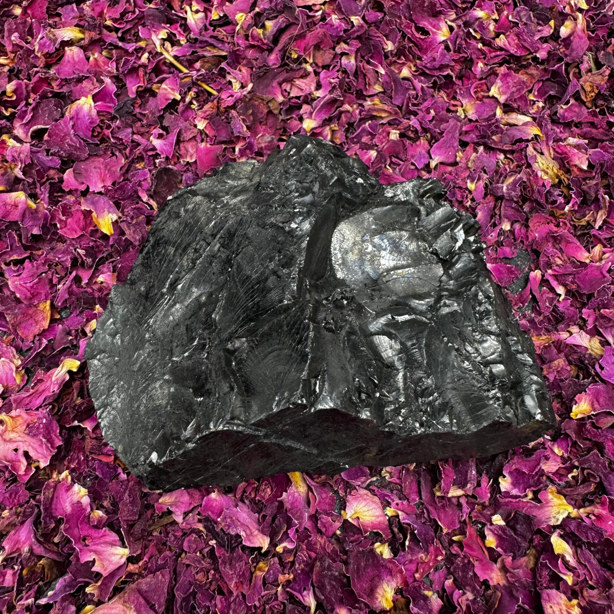 【世界限定199本】SHUNGITE LIMITED EDITION Colombian Shungite, Elite - 176 | Clarity Crystal Shop