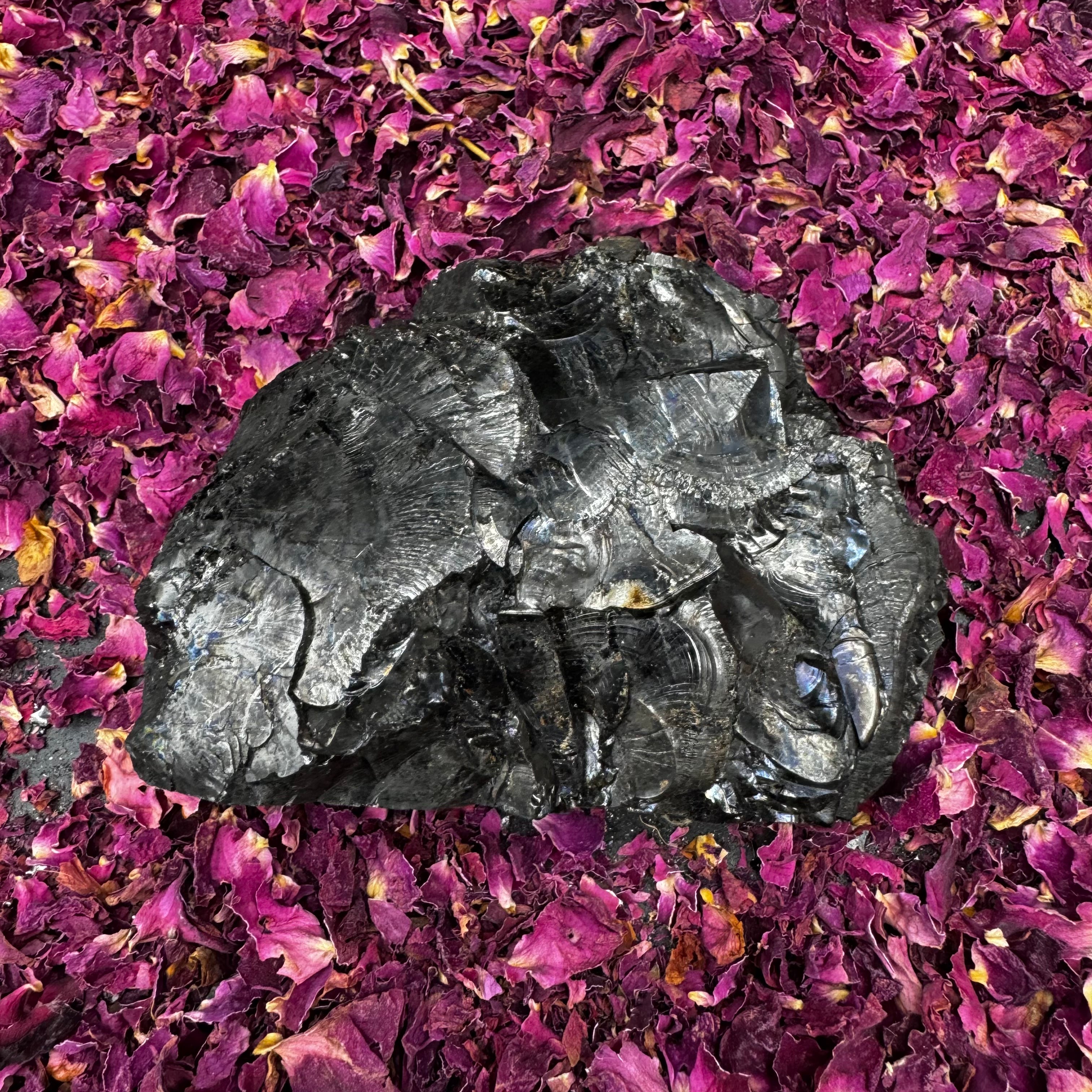 Colombian Shungite, Elite - 176