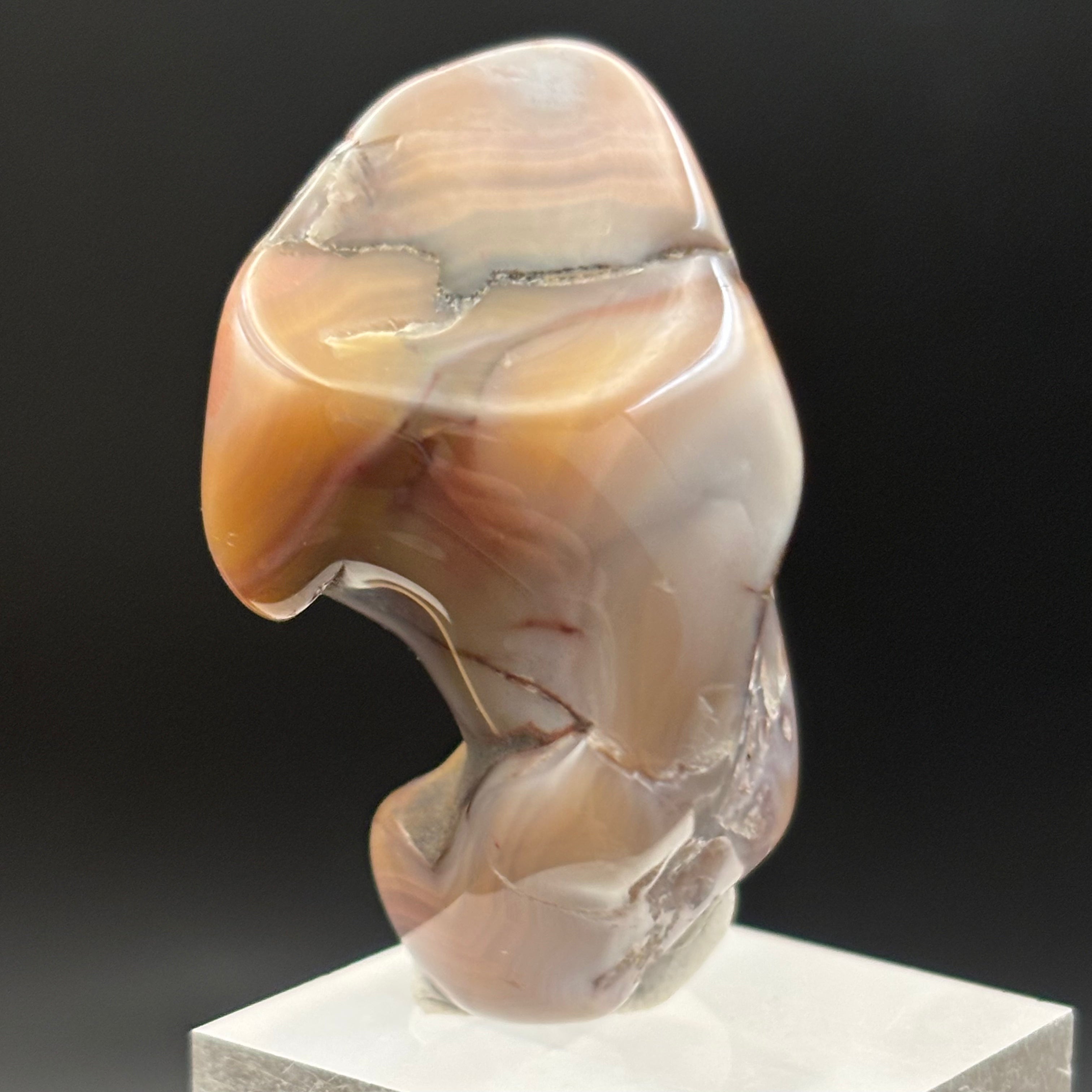 Laguna Agate - 211