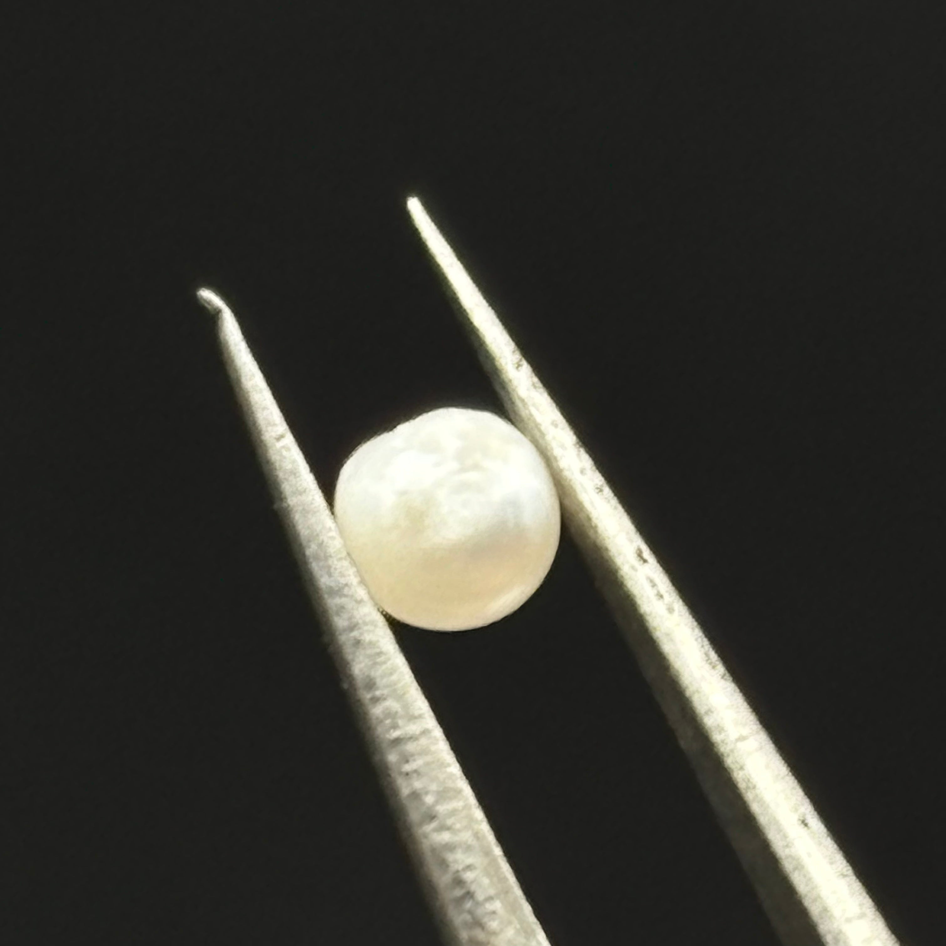 Wild Freshwater Pearl - 072